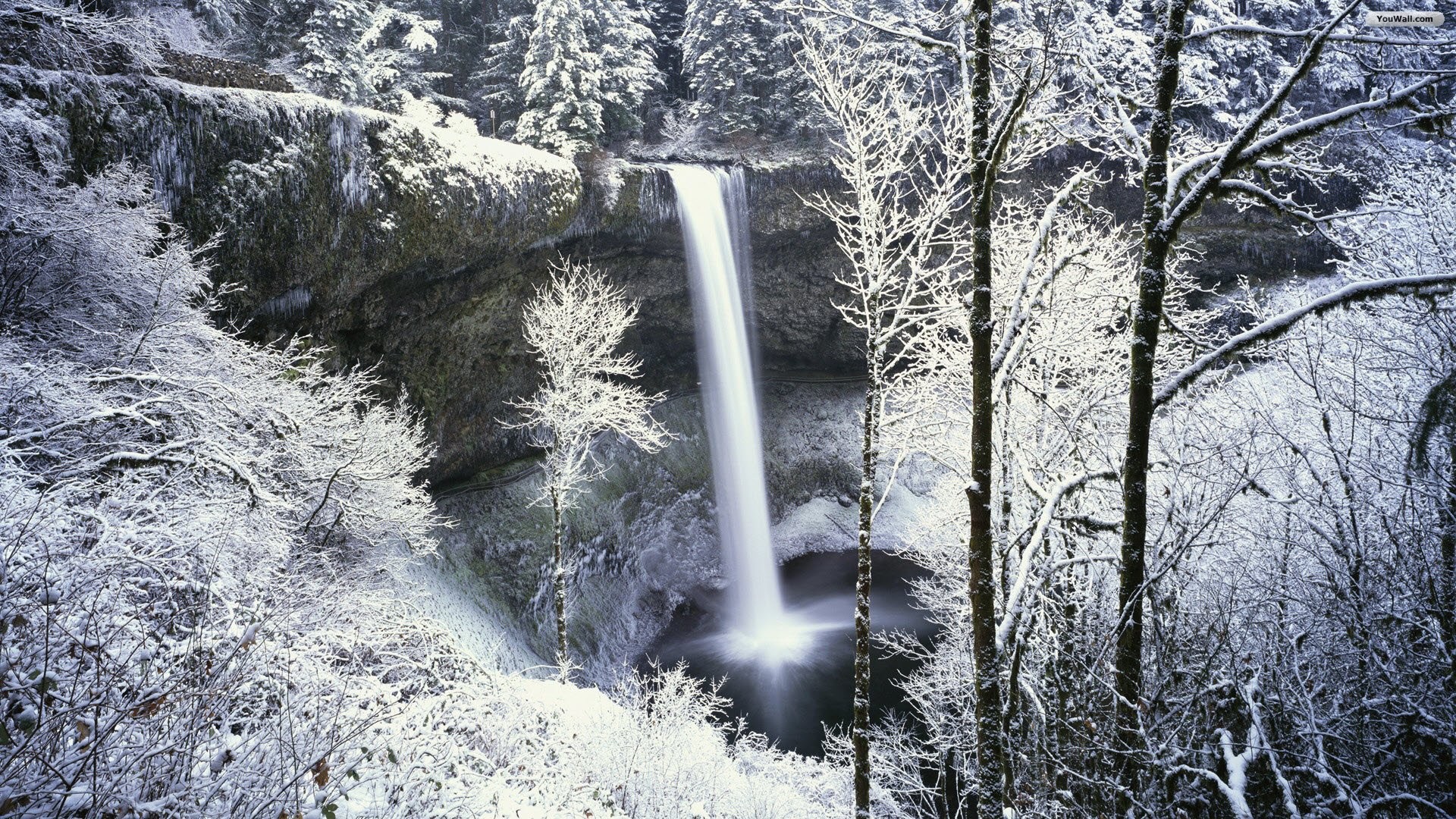 Snowy Forest Waterfall Wallpaper