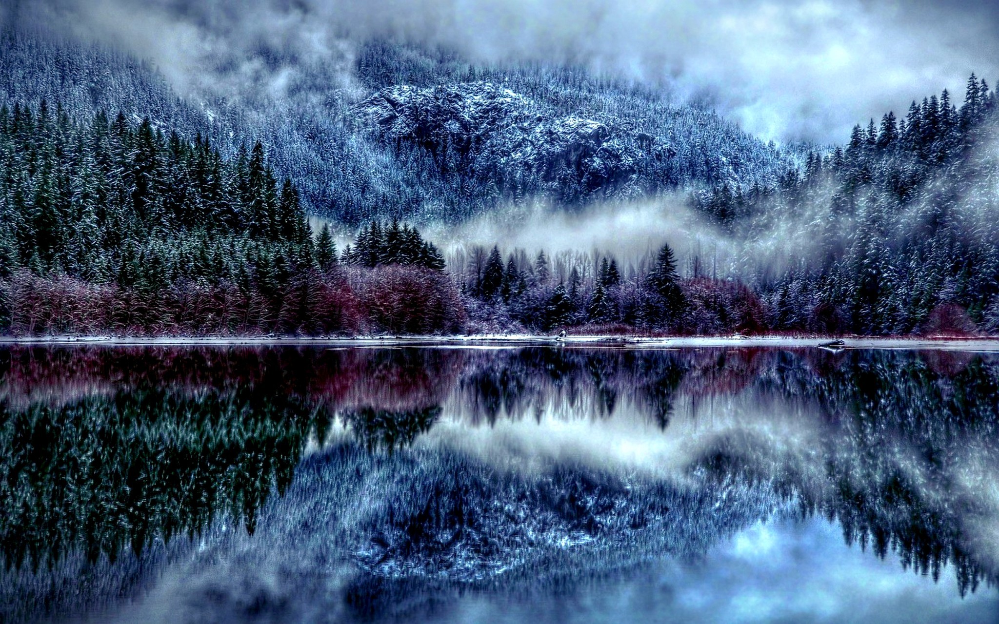 Winter Forest HD Wallpaper Season Desktop Wallpapers