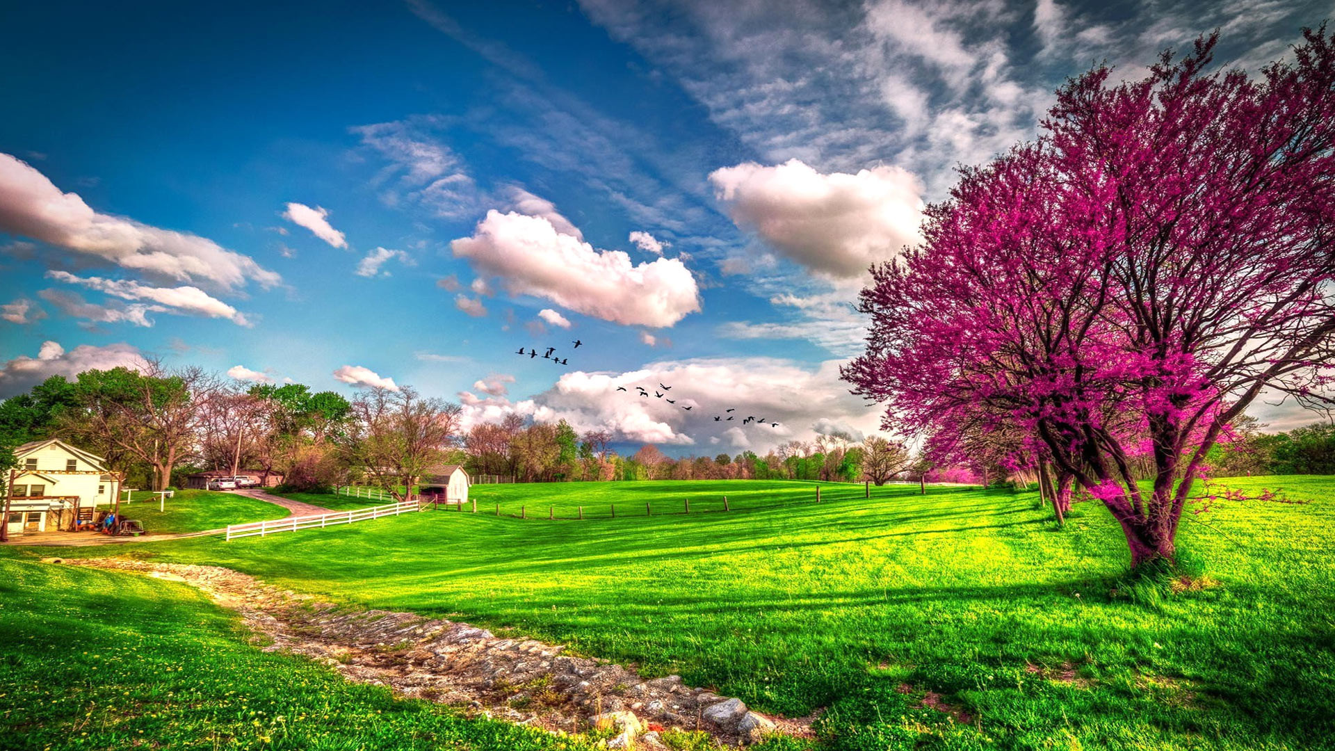 Landscape beautiful spring nature . Spring Wallpapers. Seasons Wallpapers. download beautiful HD Wallpaper