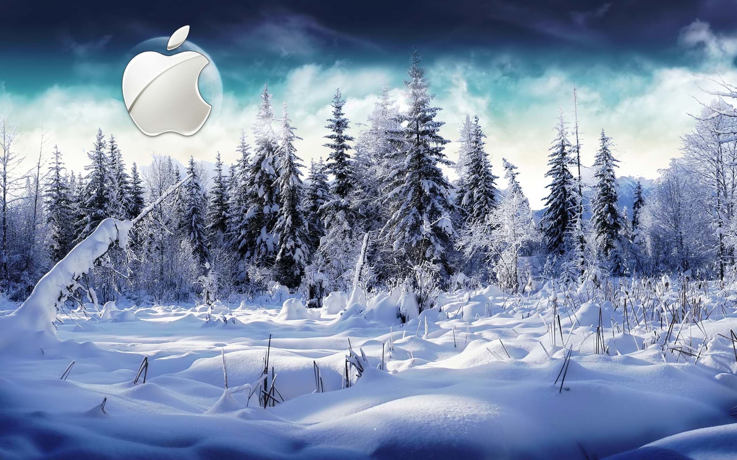 Desktop Wallpaper Gallery Computers Winter Apple Mac