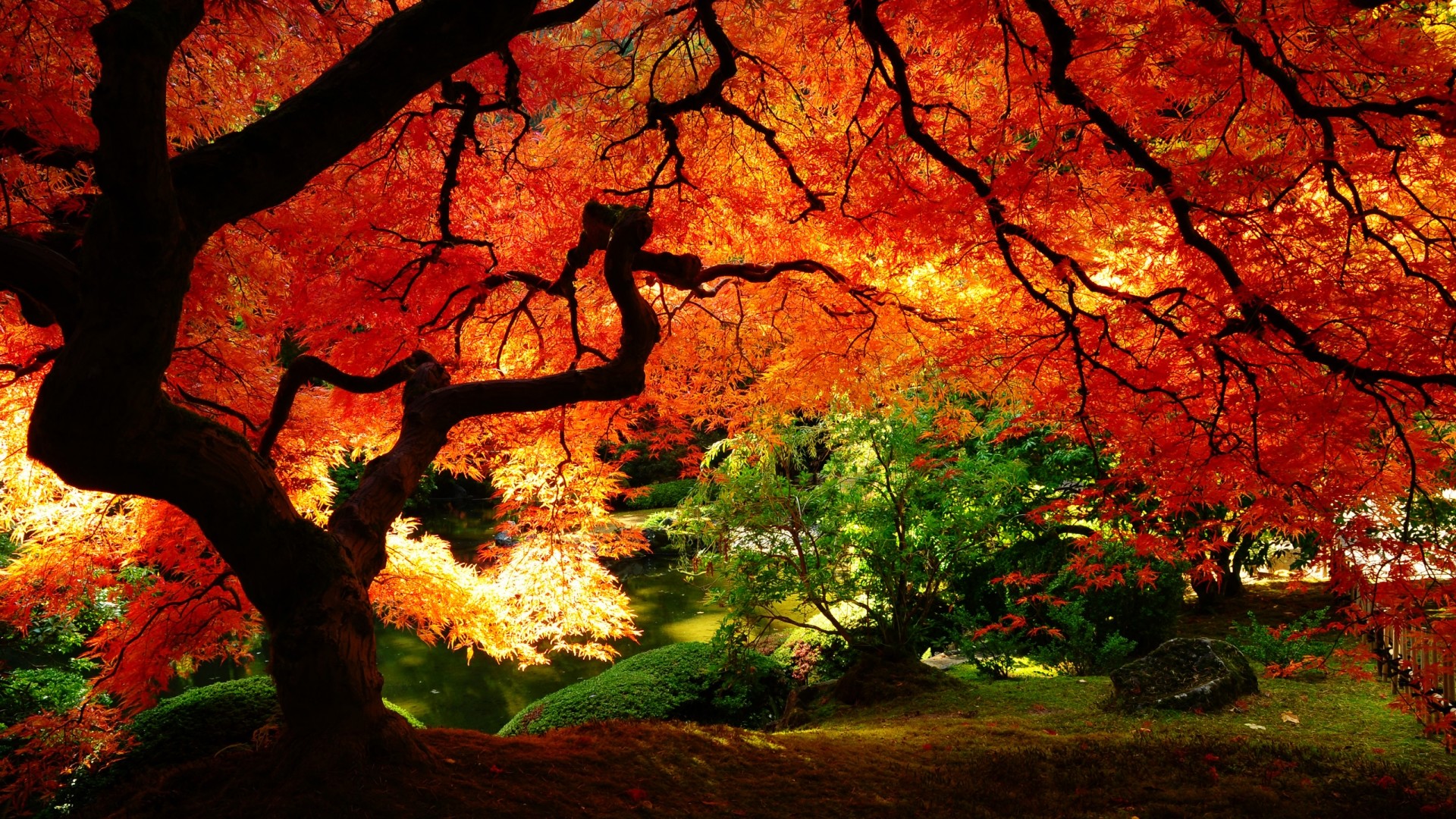 Fall desktop wallpaper images – www.wallpapers in hd.com