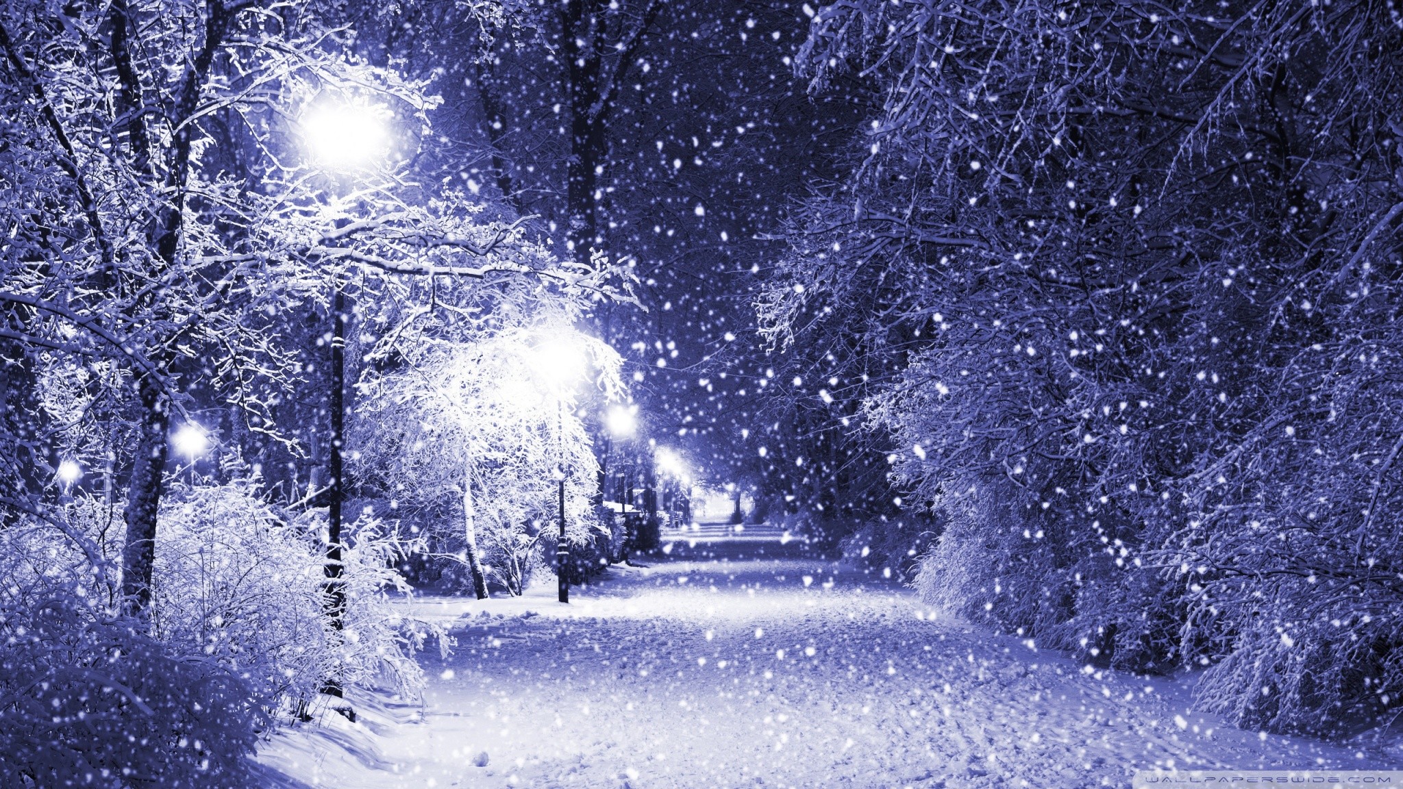 Winter Night HD desktop wallpaper Mobile Dual Monitor