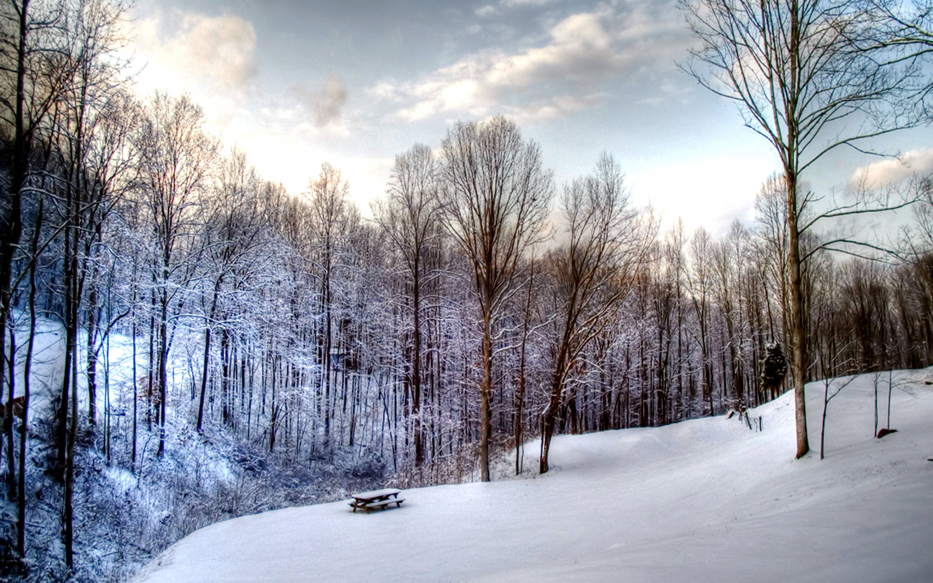 19201200 Widescreen Winter Snow Scenes – Dreamy Winter Snow Wallpaper