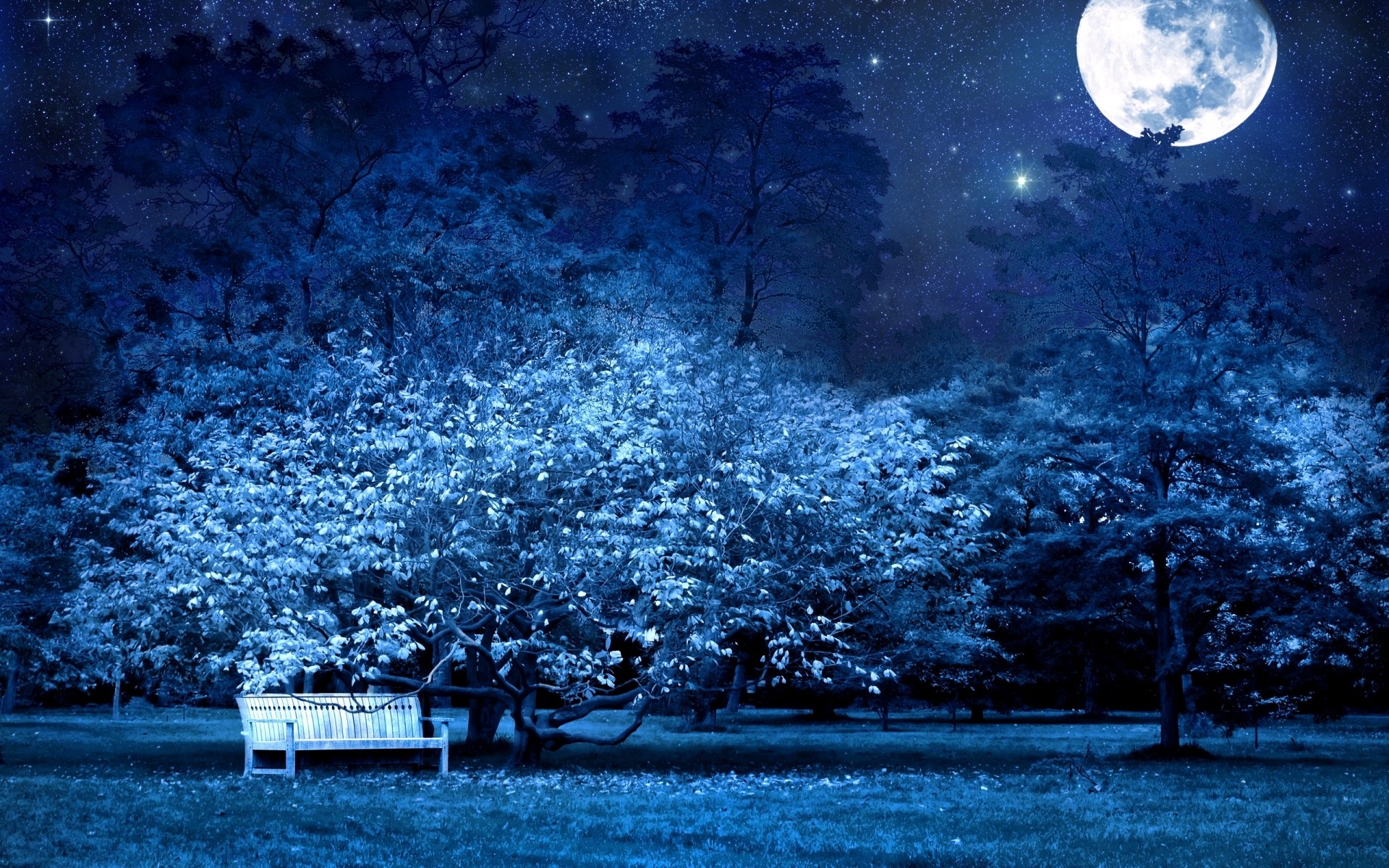 Wallpaper Deep Blue Night desktop PC and Mac wallpaper