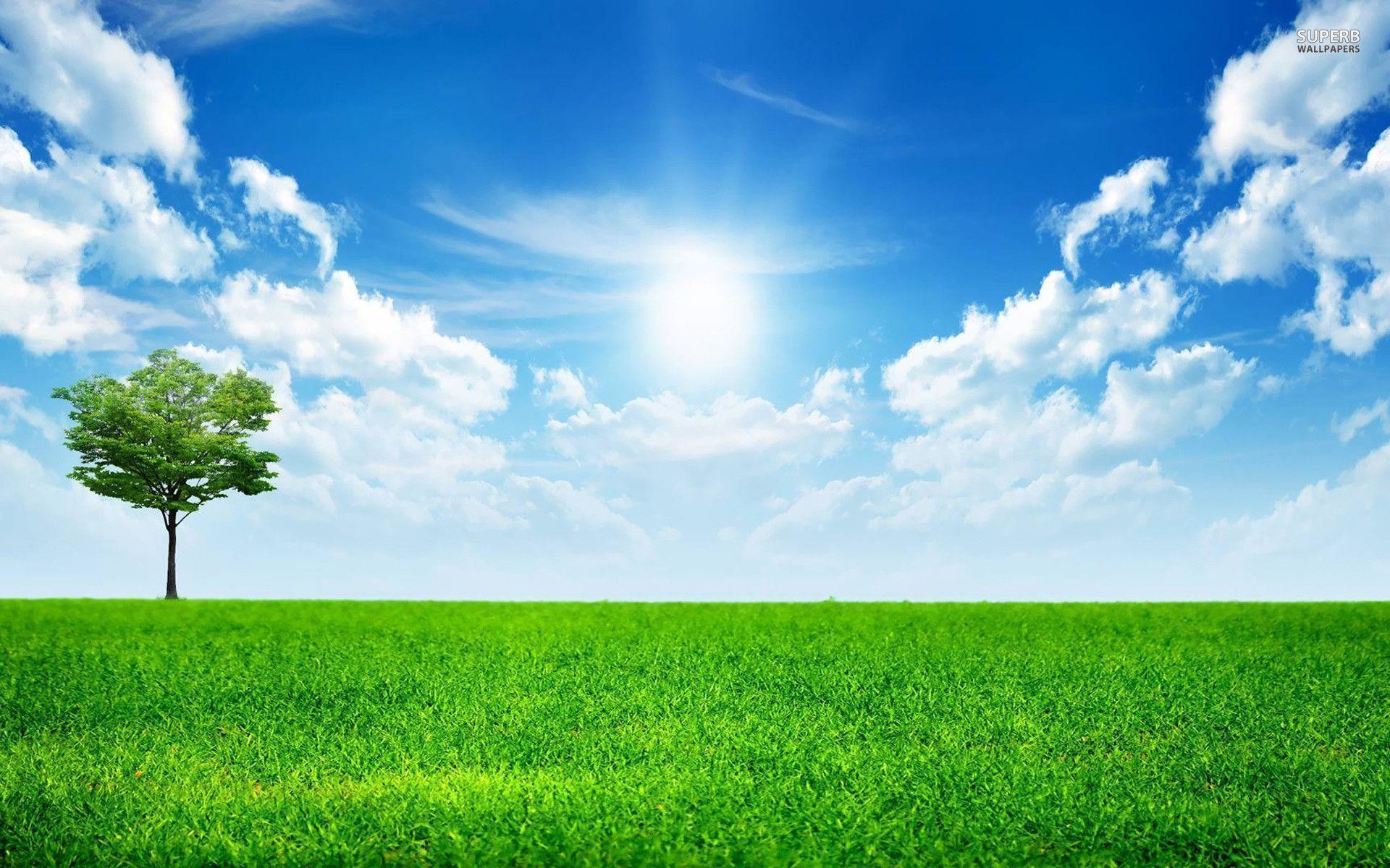 Sunny blue sky wallpaper – Nature wallpapers – #