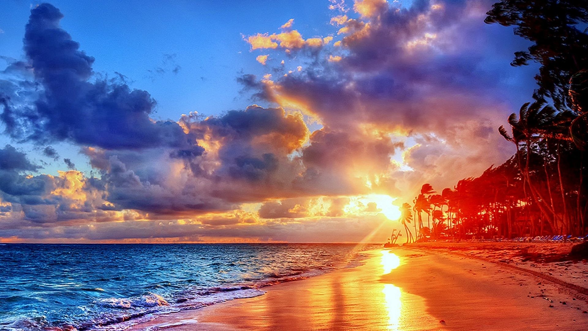 Republic Tag – Shining Summer Places Colorful Bavaro Photography Beaches  Paradise Plants Love Four Seasons Sea