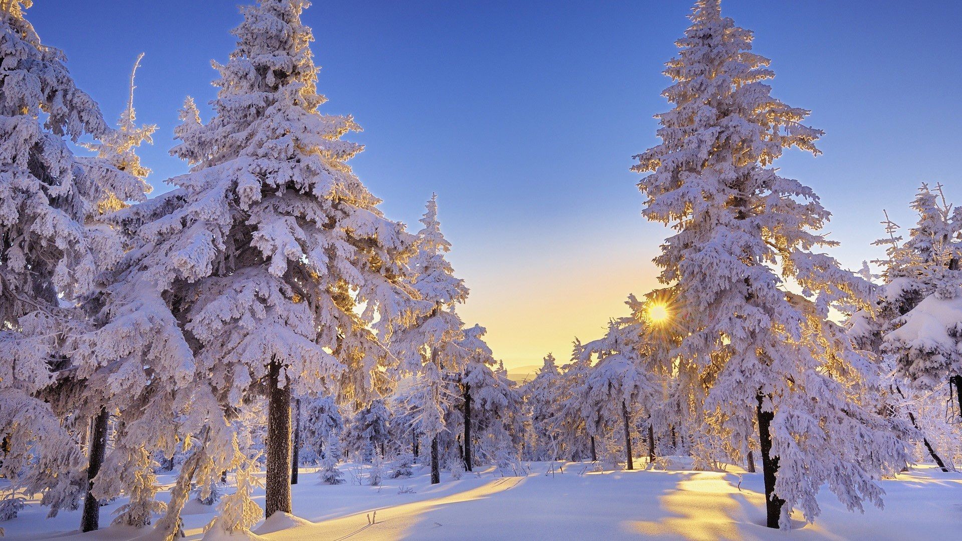 Full HD p Best HD Winter Wallpapers Wallpapers