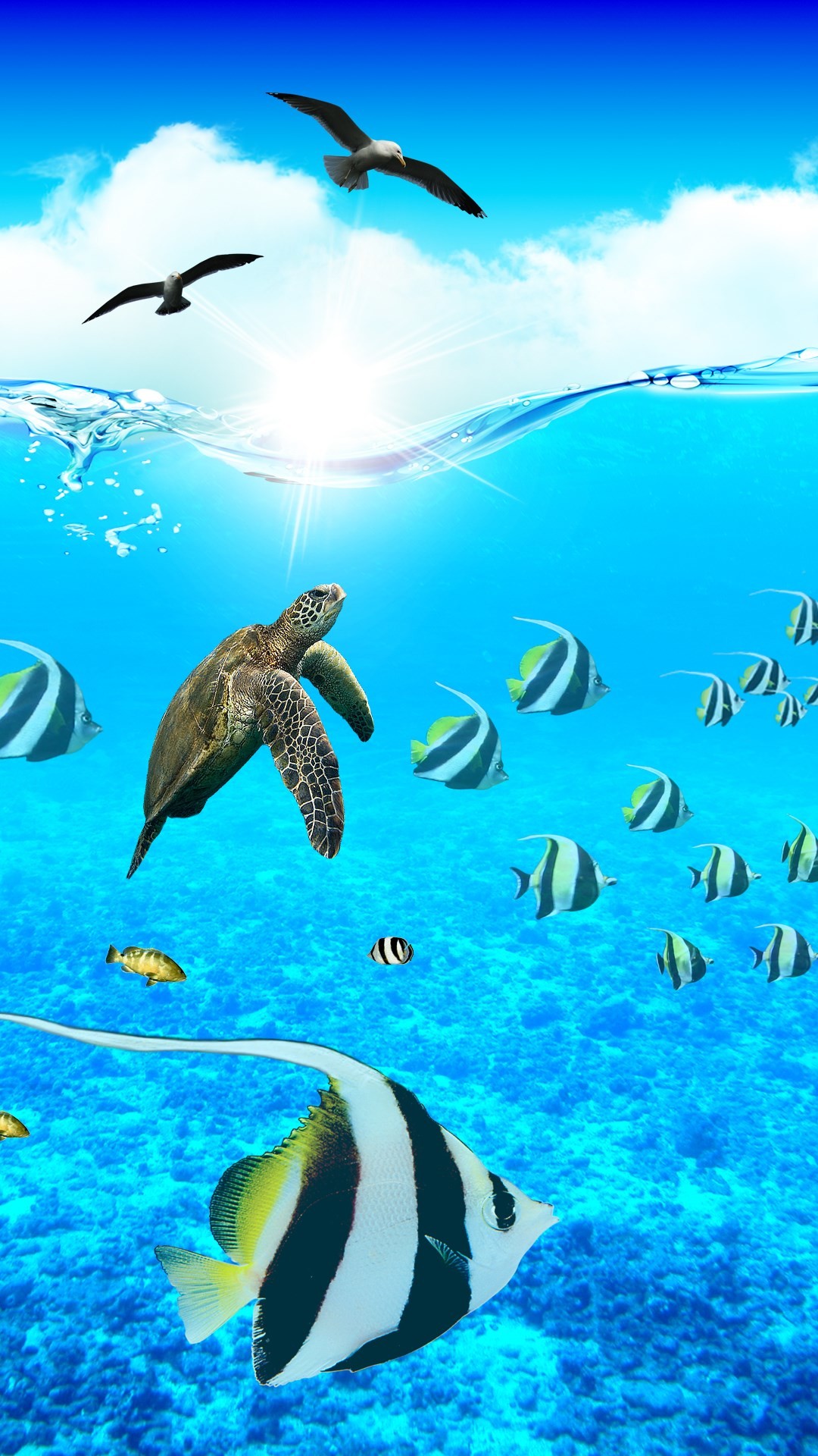 Ocean Aquarium. Paradise iPhone Wallpapers – mobile9 #underwater #animals # sea