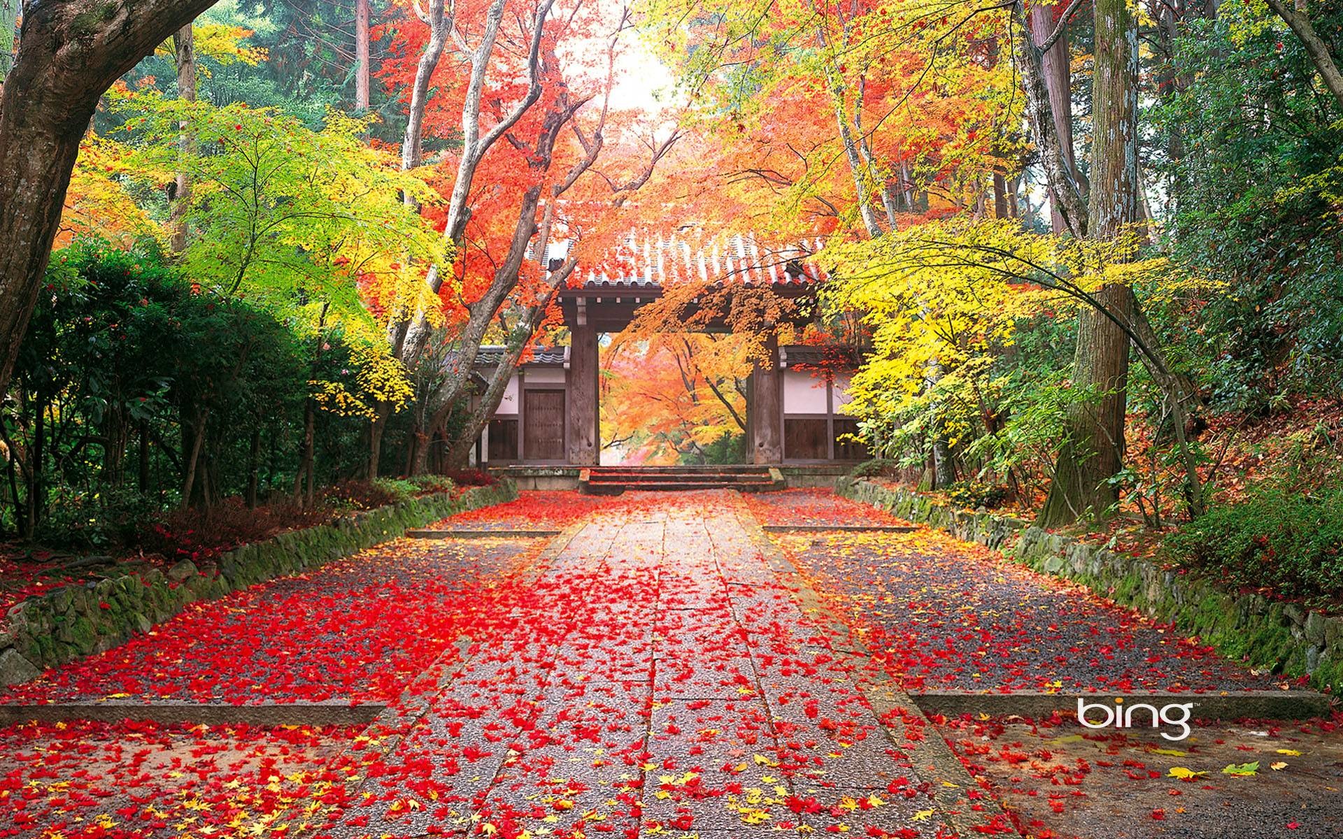Japan Nature Wallpapers Â· Nature Wallpapers | Best Desktop .