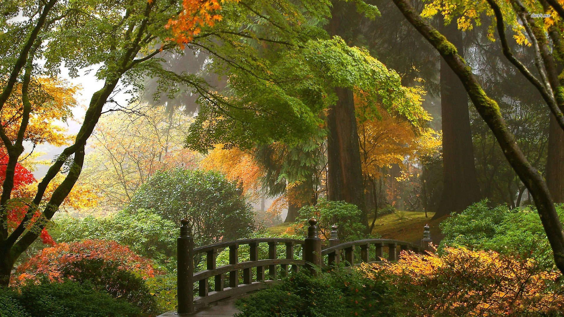 12484 japanese garden 1920×1080 nature wallpaper AMB