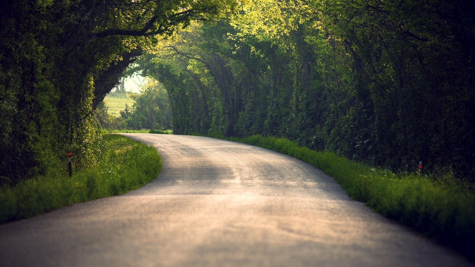 Preview wallpaper summer, nature, road, leaves, trees 1920×1080