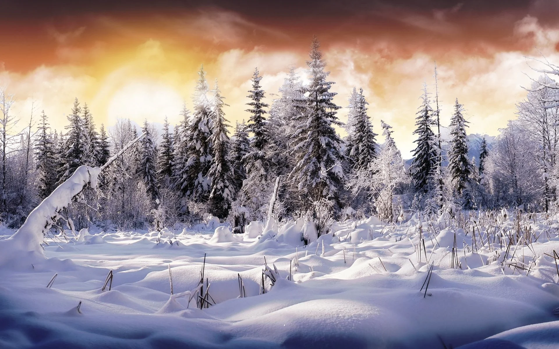 HD Wallpaper | Background ID:49262. Earth Winter