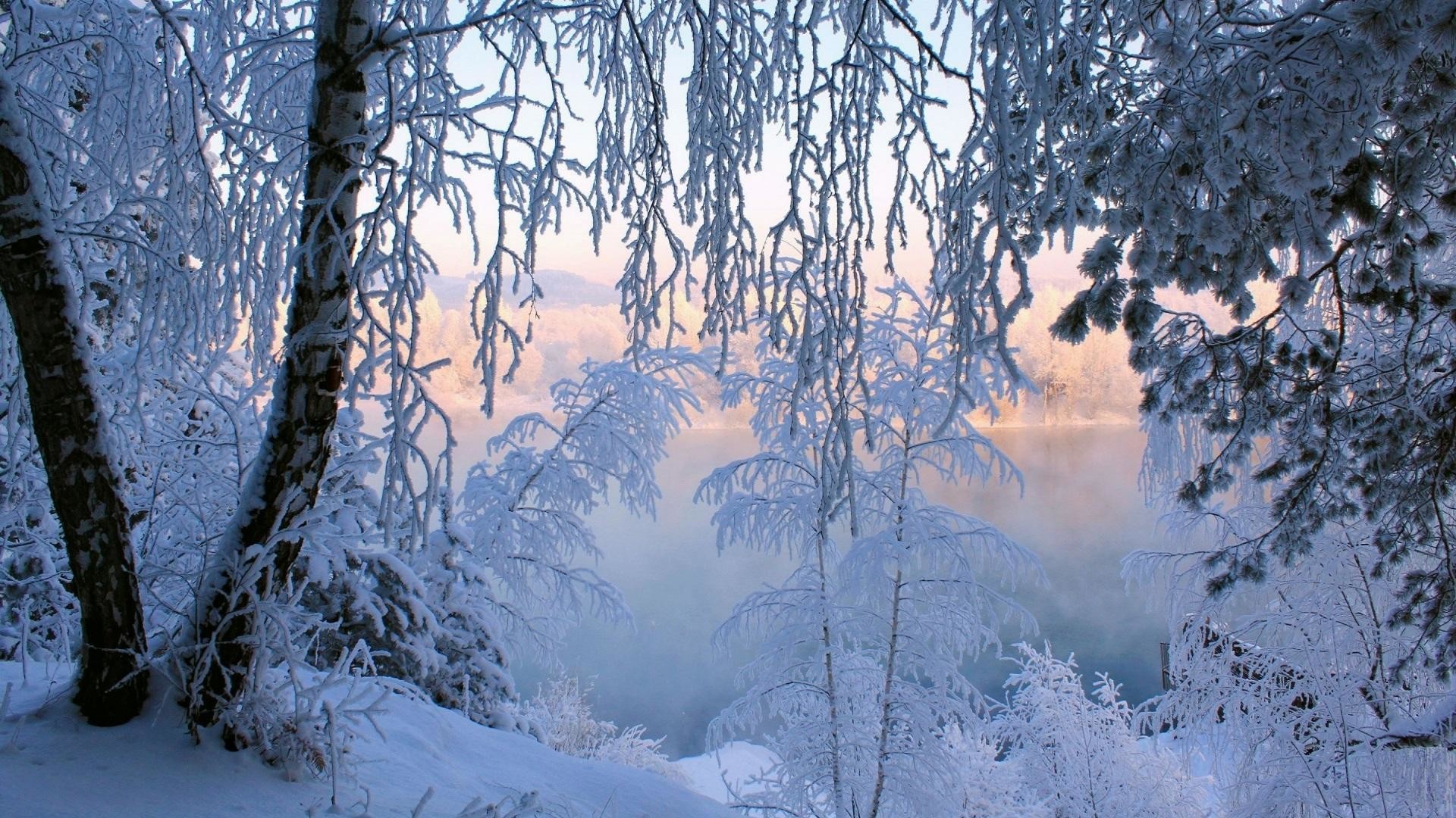 wallpaper.wiki-Beautiful-Winter-Snow-Frost-Hi-Res-