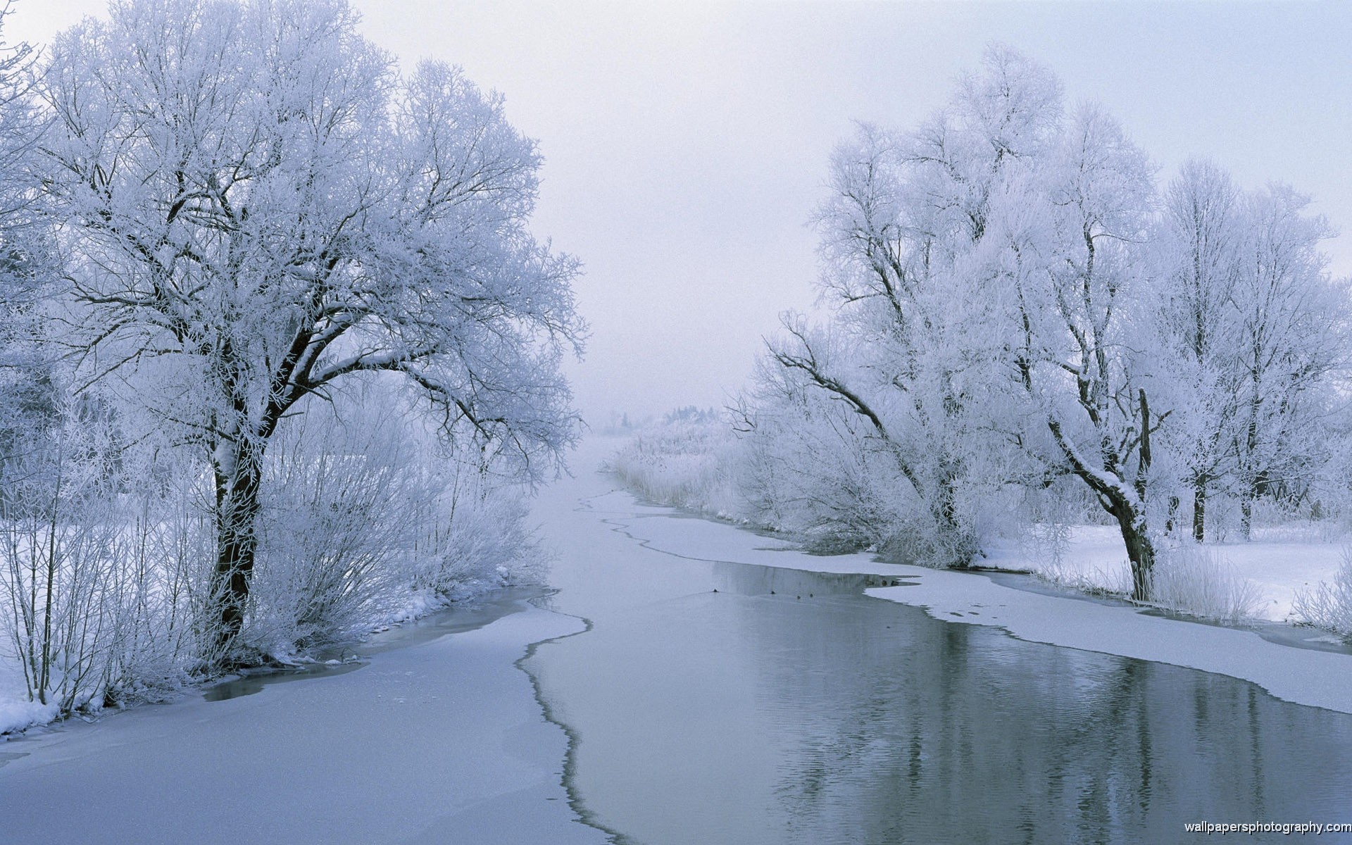 Snow Scenes River HD Wallpaper