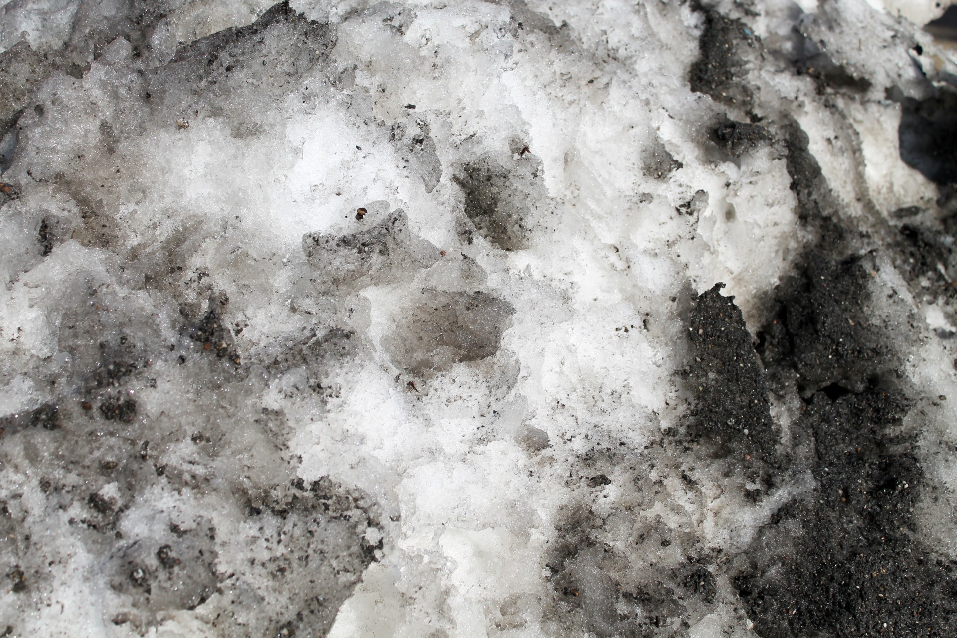 Dirty Snow Background – 01
