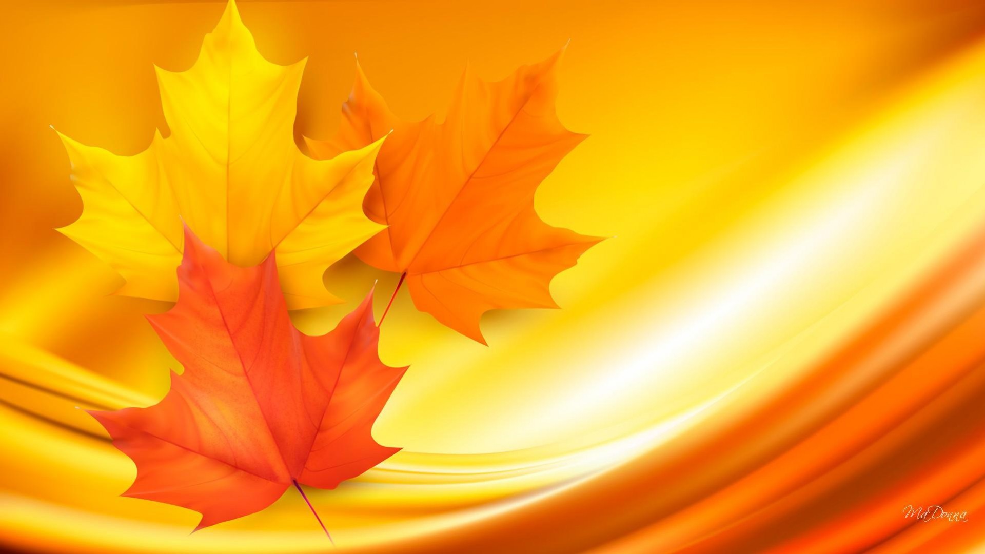 Fall Full HD Wallpaper