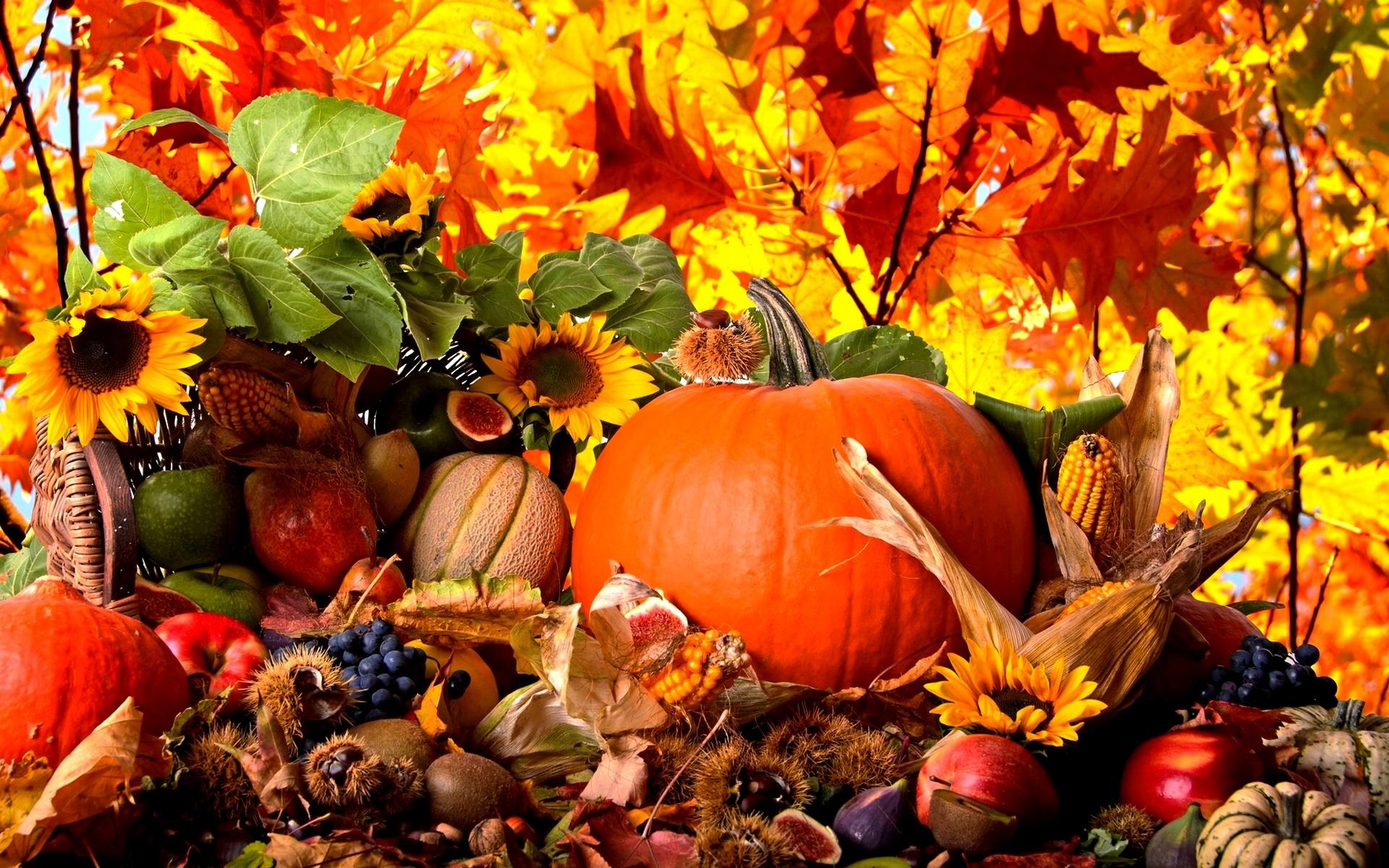 Thanksgiving Wallpapers – Full HD wallpaper search – page 5