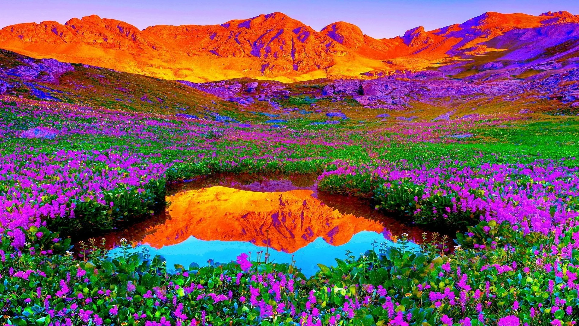Brilliant Colors Of Nature Hd Desktop Background wallpapers HD .