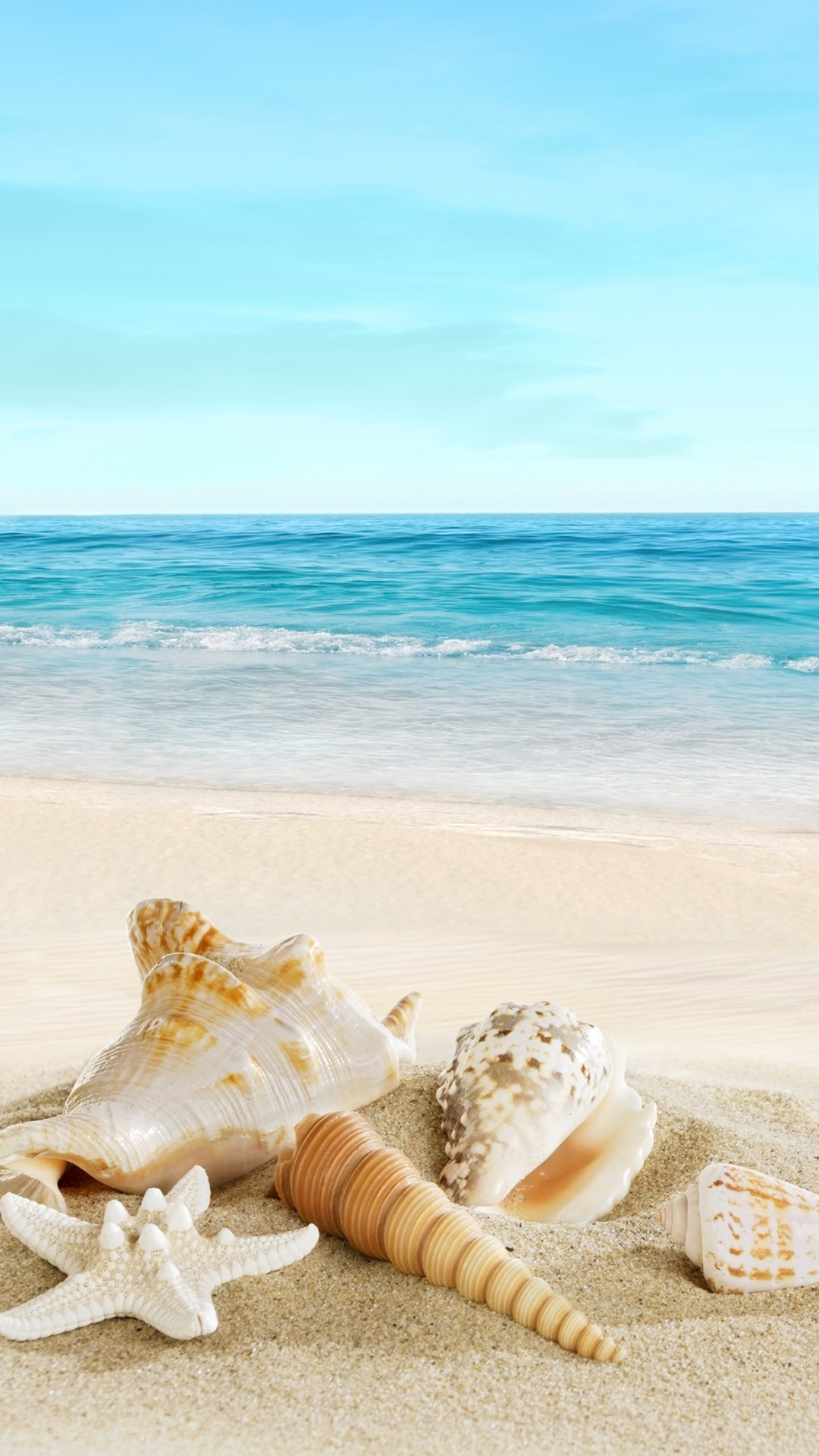 Nature Sunny Sea Shell Beach iPhone 6 wallpaper