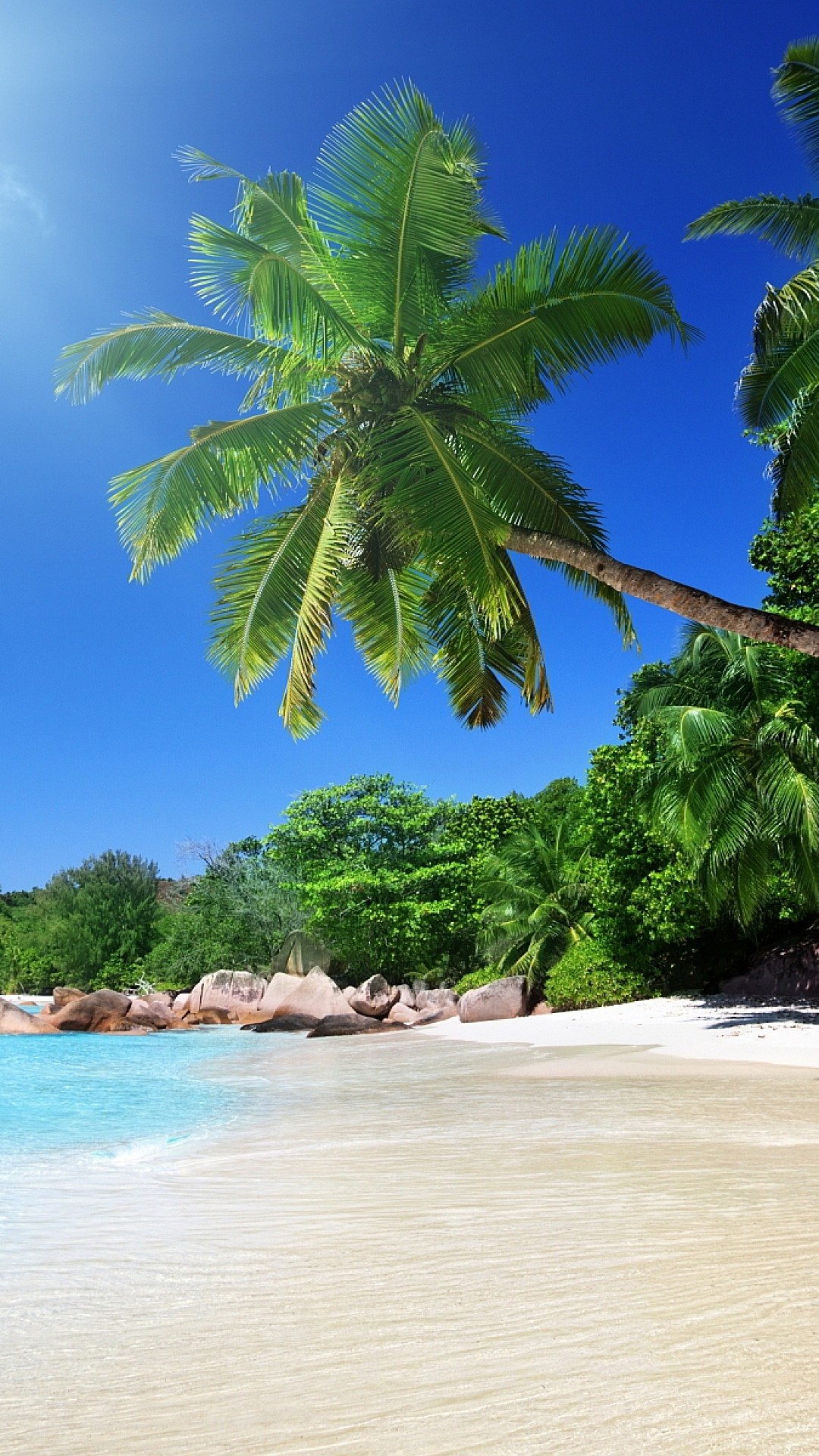 Preview wallpaper beach, sand, palm trees, tropical 1080×1920