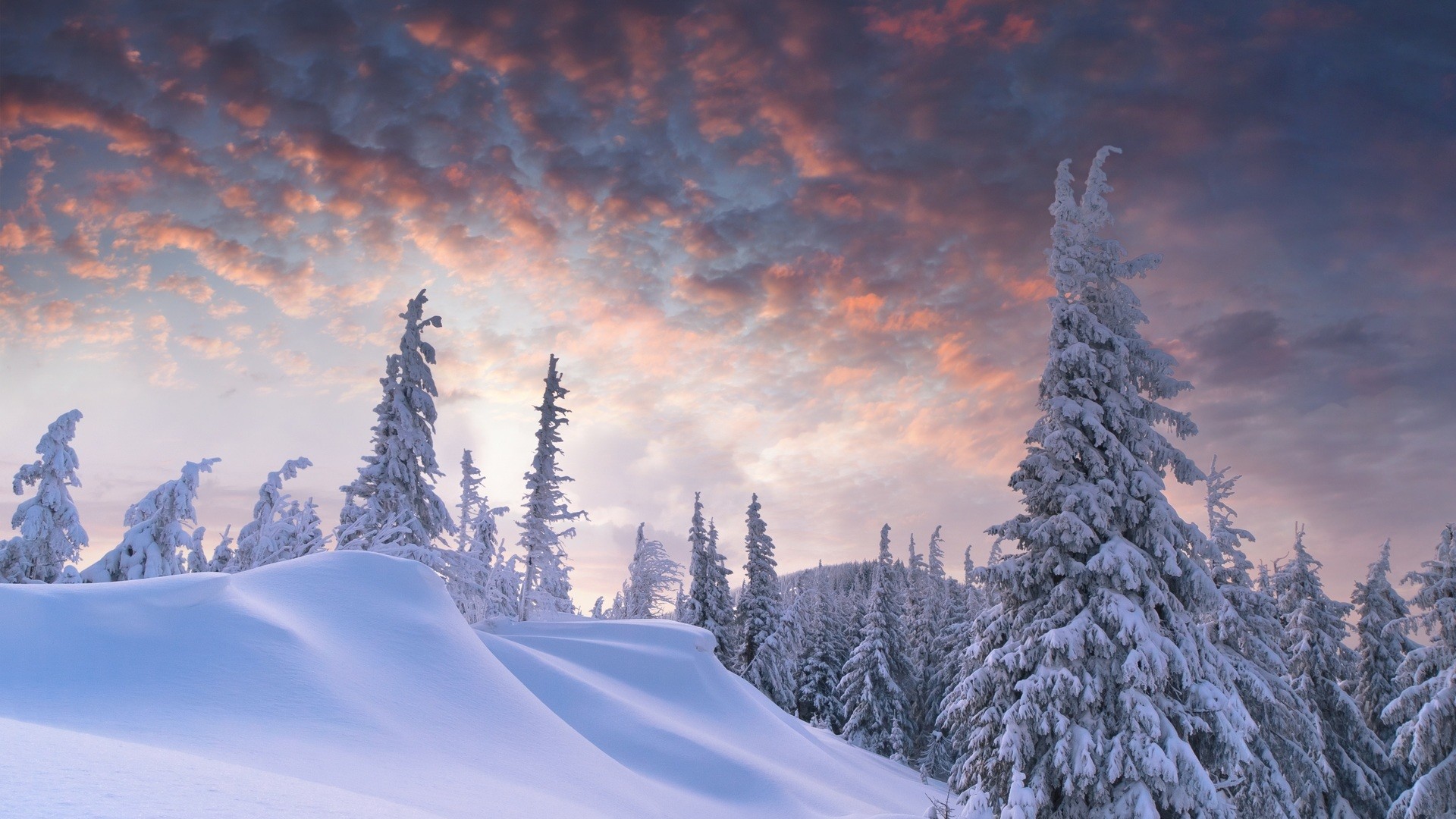 Winter and Snow Wallpaper Free Download