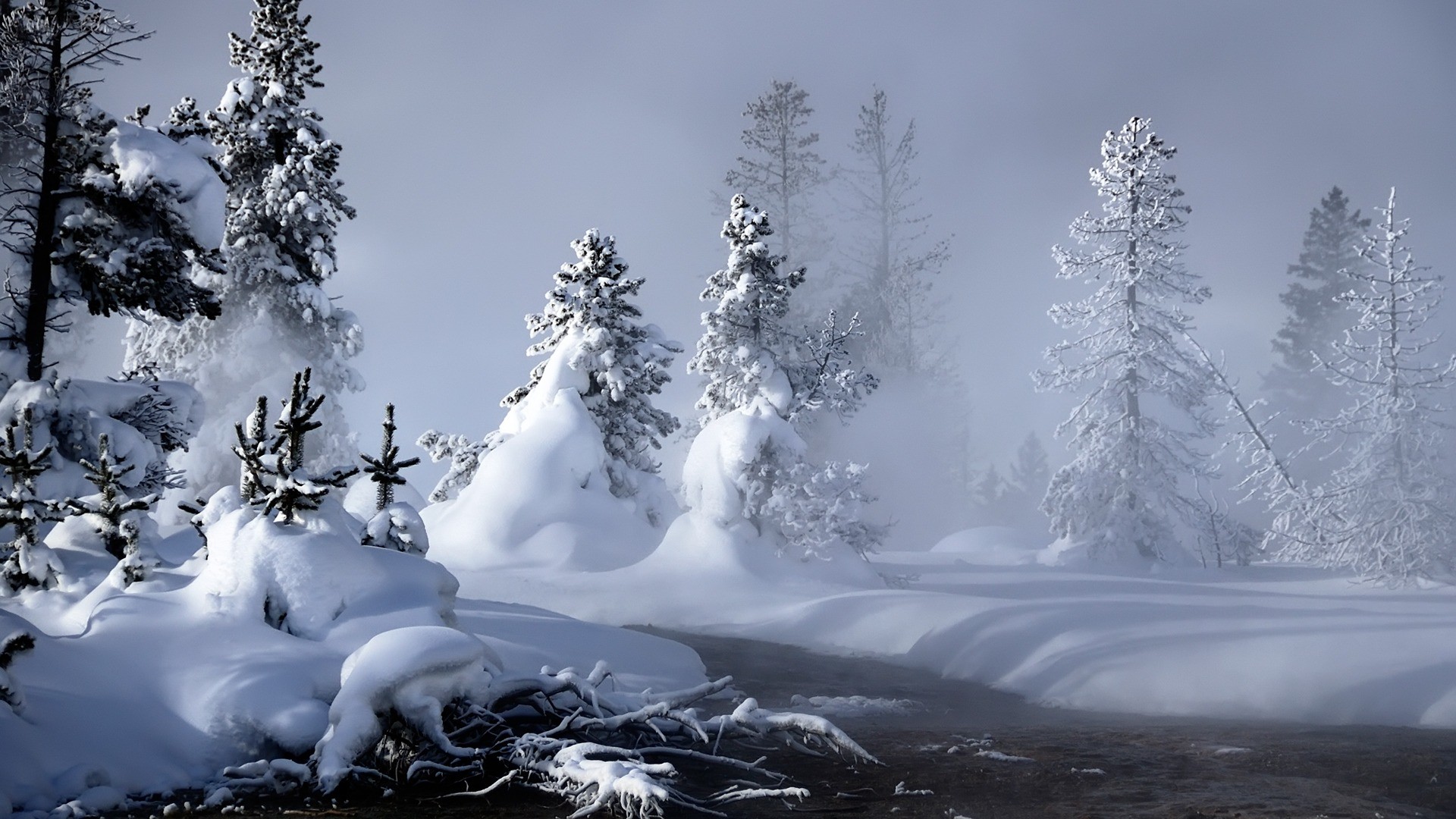 Mystic winter wallpaper winter nature wallpapers in jpg format for