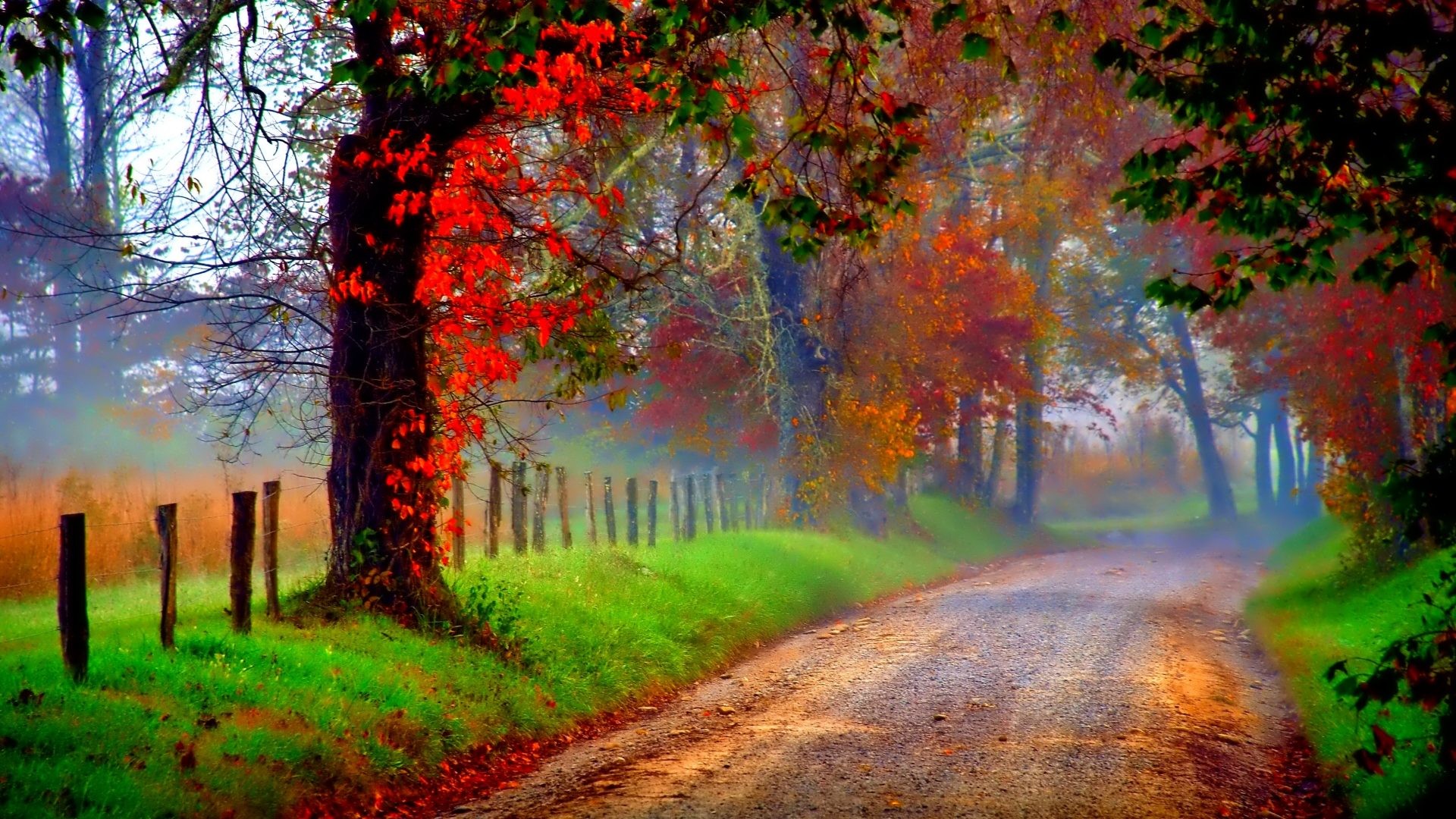 Colorful Tag – Nice Beautiful Autumn Mirrored Golden Pretty Nature Leaves Glow September Tree Reflection Foliage