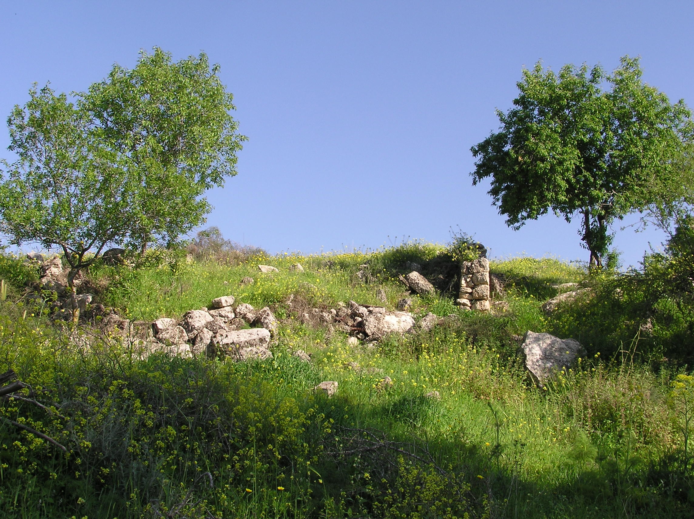 Israel Landscape 39492 ZWALLPIX