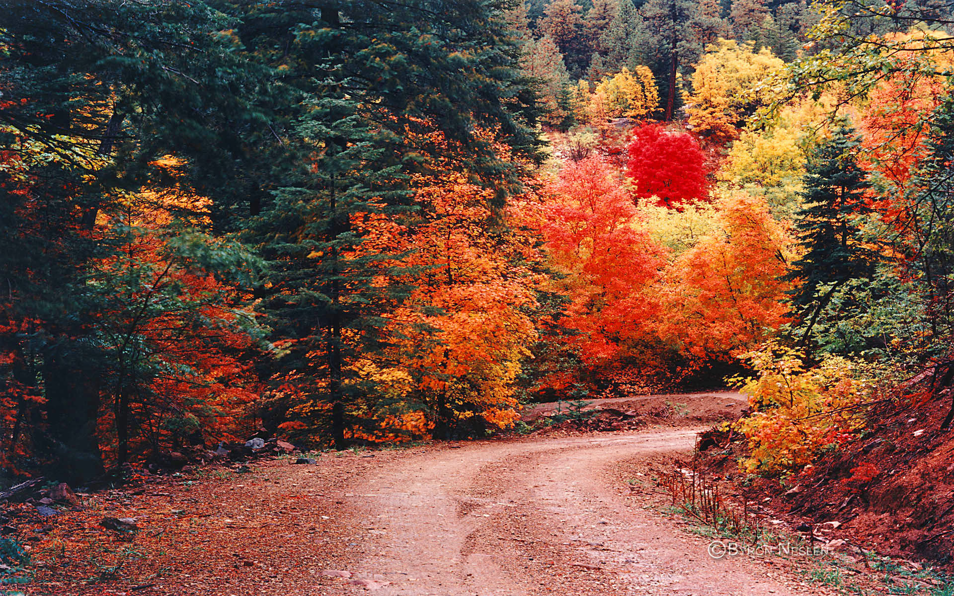 Autumn Mountain Wallpapers Photo with HD Wallpaper Resolution px 861.65 KB Landscape Nature Pumpkin Desktop