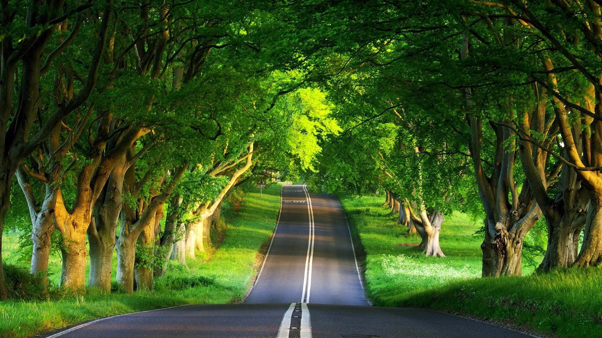 Beautiful Scenery Wallpaper Desktop Wallpaper scenery desktop wallpapers natural beautiful road summer wallpaper