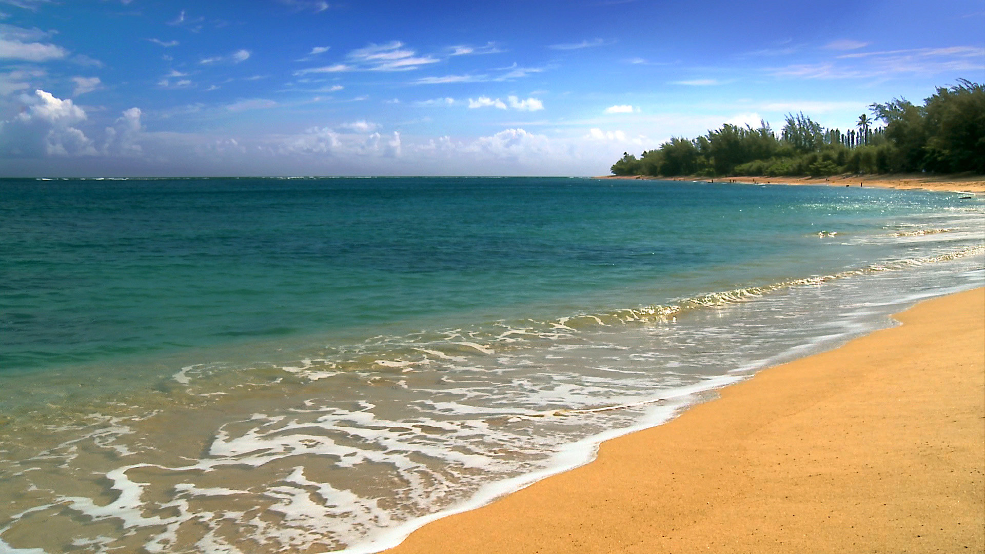Hawaii, photos, nature, background, beach, beaches, media, webshots