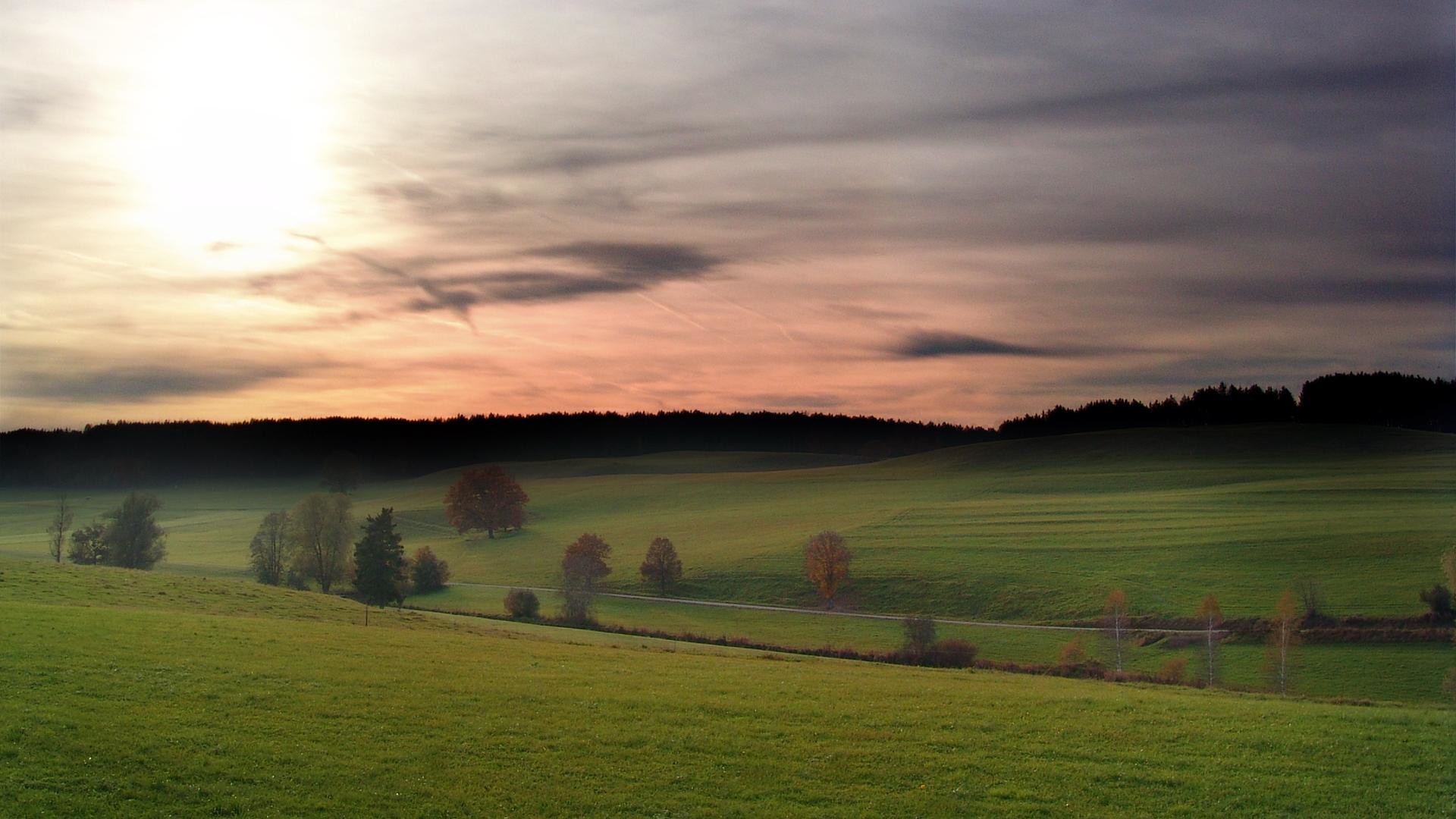 Green grassland scenic background