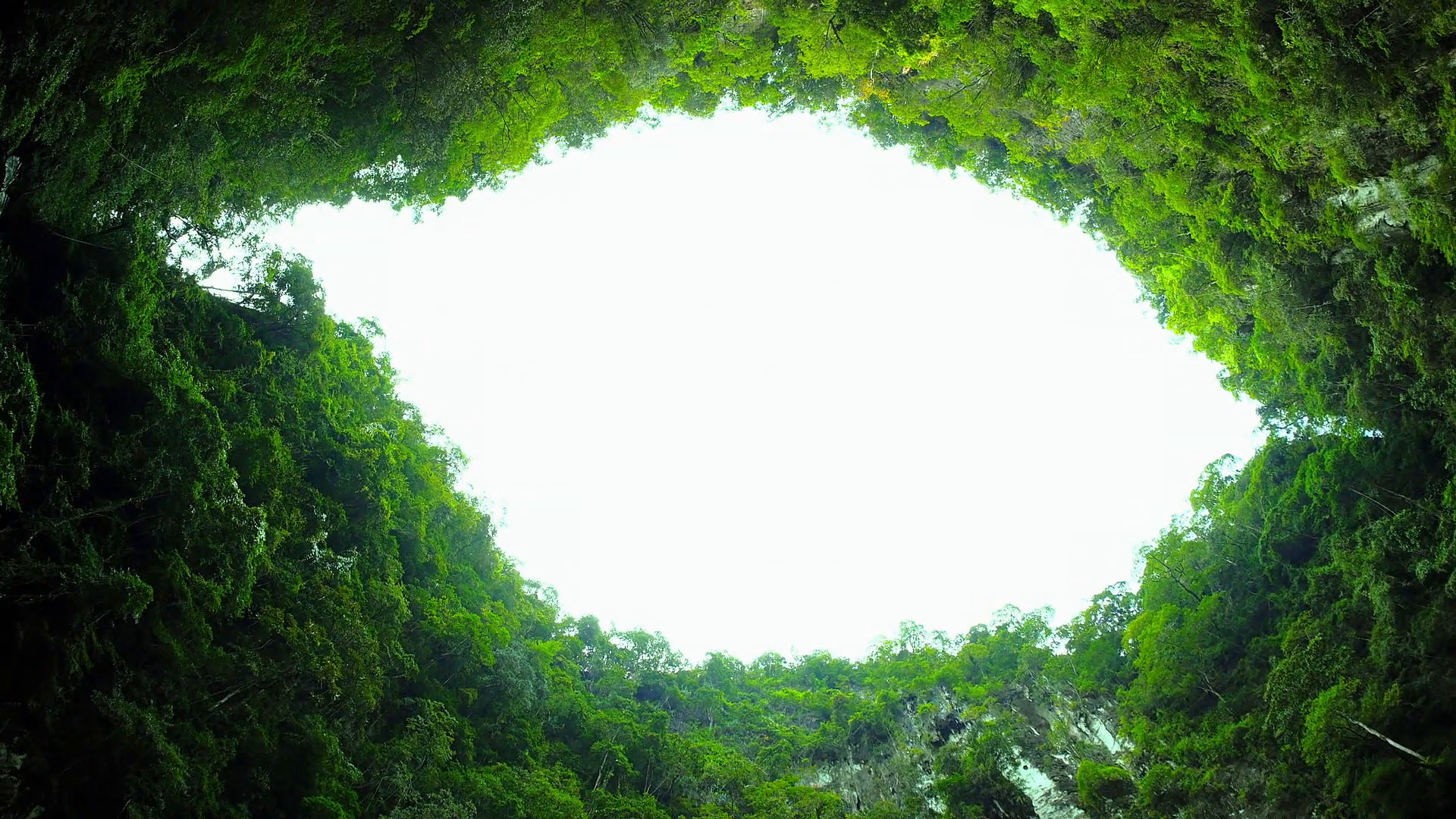 Impressive karst mountain lagoon hidden in jungle. Scenic nature background Stock Video Footage – VideoBlocks