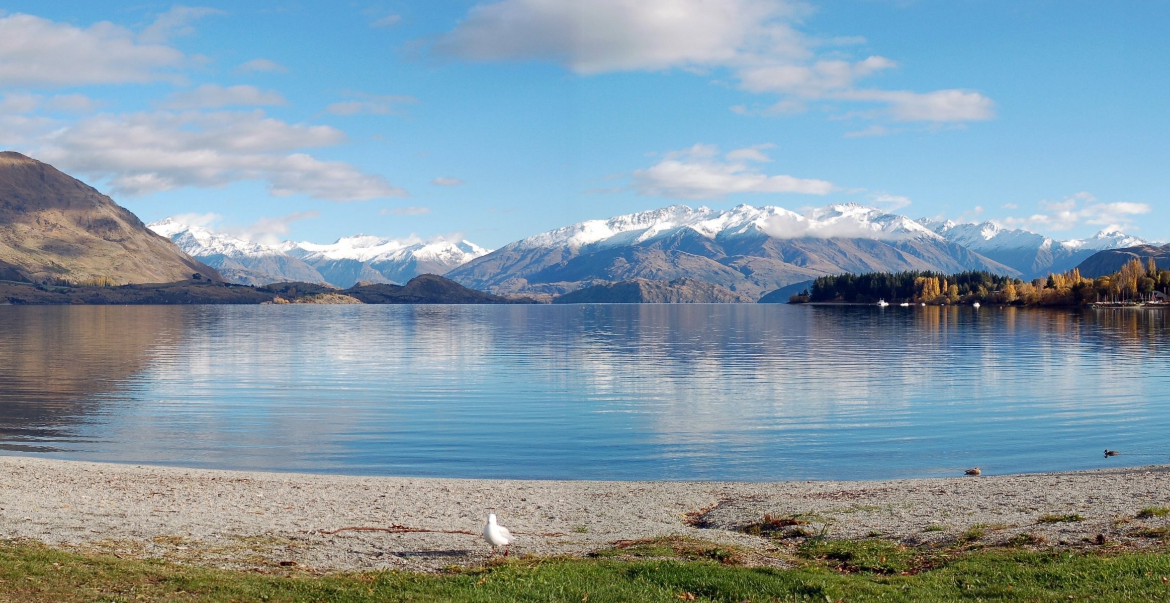 Lake beach mountain new zealand lake wanaka panoramic