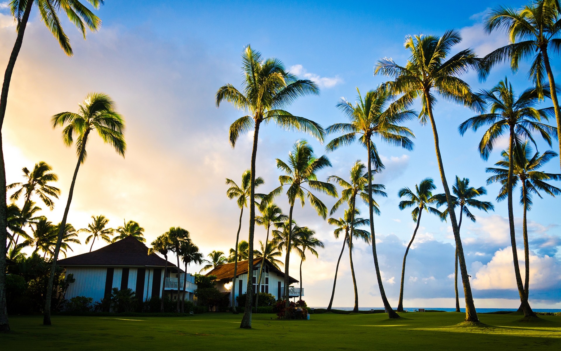 Hawaii Beach Houses 4K Full Hd Backgrounds Wallpaper | HD Wallpapers