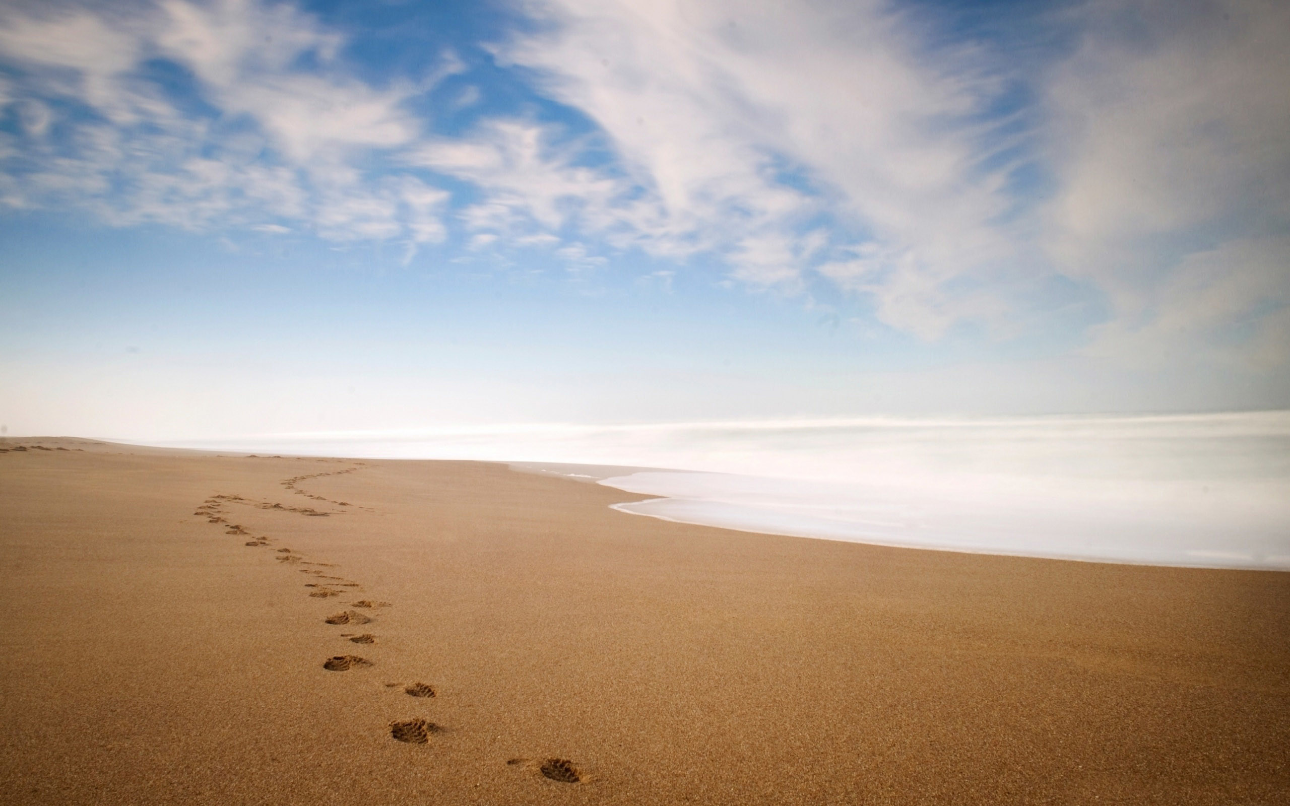 Footprints In The Sand Iphone Panoramic Wallpaper HD Pic