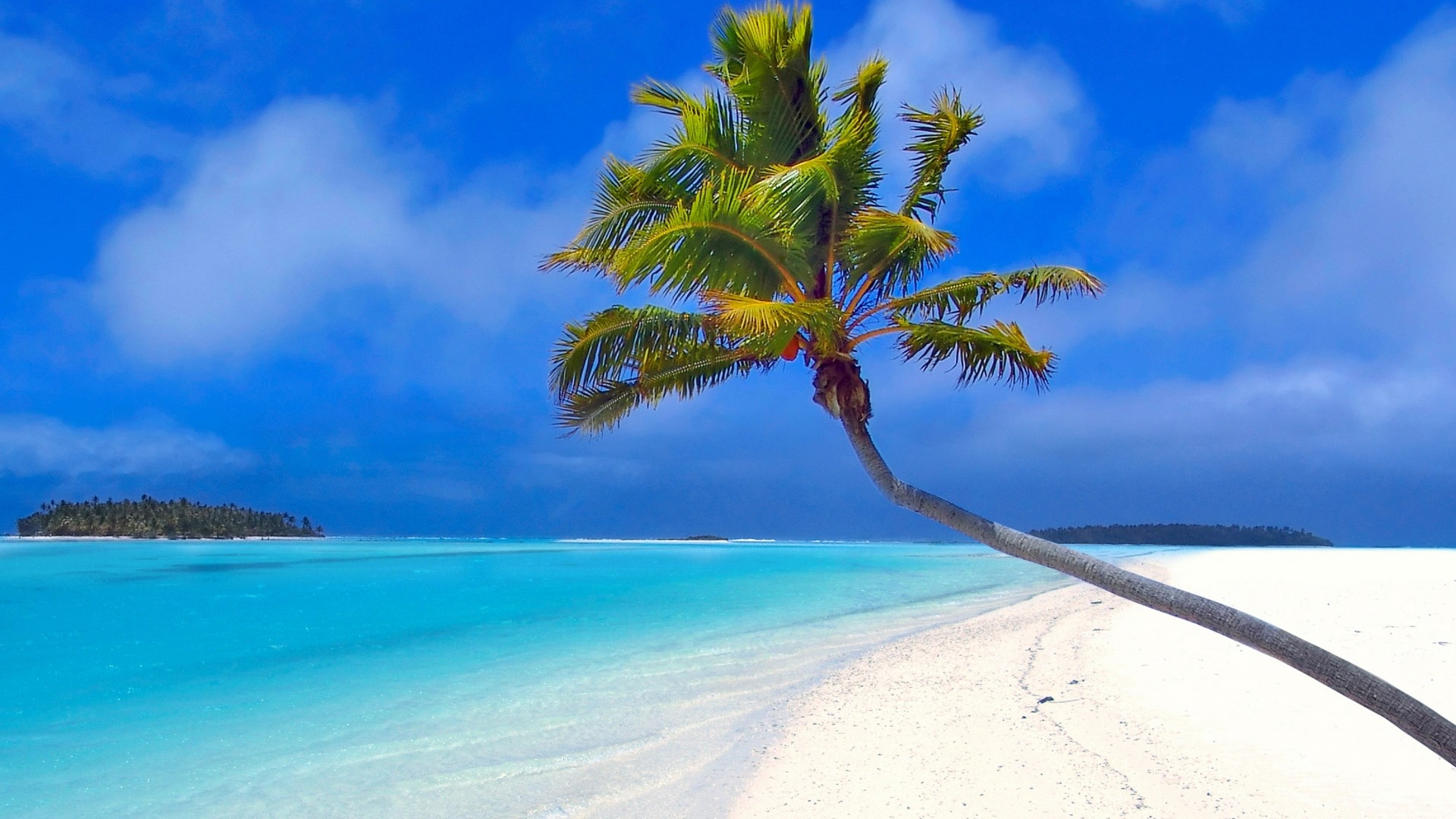 Preview wallpaper maldives, beach, palm trees, sand, sea 1920×1080