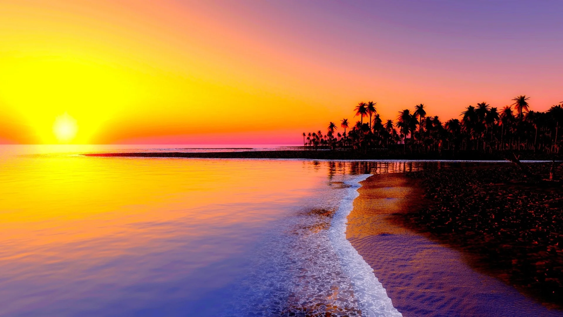 Wallpaper beach, tropics, sea, sand, palm trees, sunset