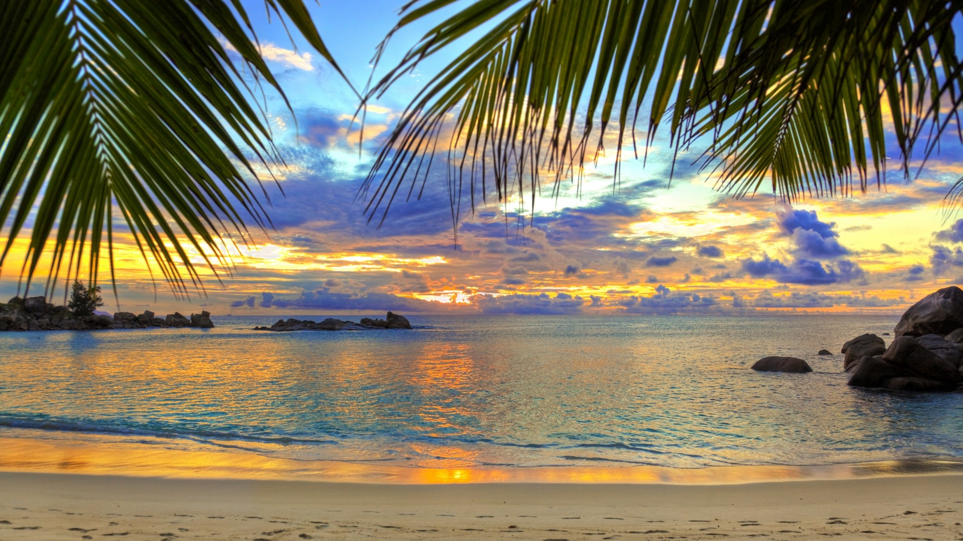 Wallpaper beach, tropics, sea, sand, palm trees