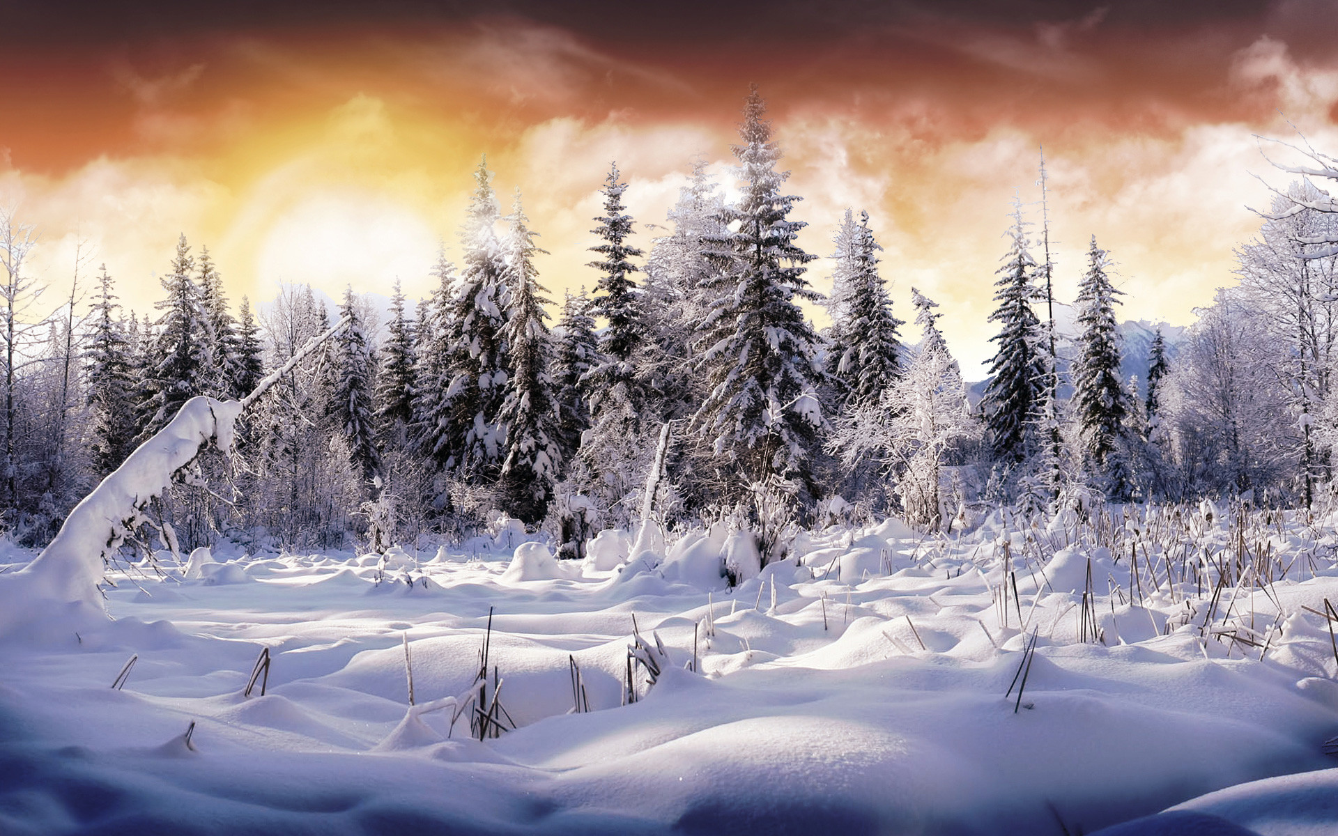Winter wonderland hd wallpaper free for desktop
