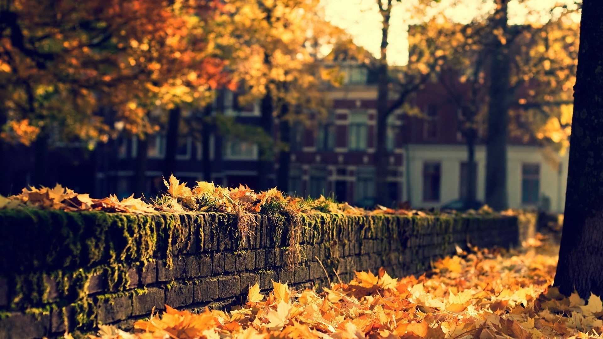 Image: Beautiful Fall Desktop Wallpaper