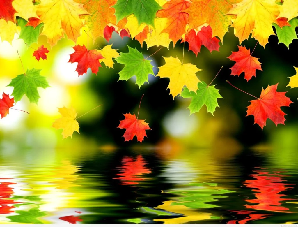 46+ Pretty Fall Backgrounds