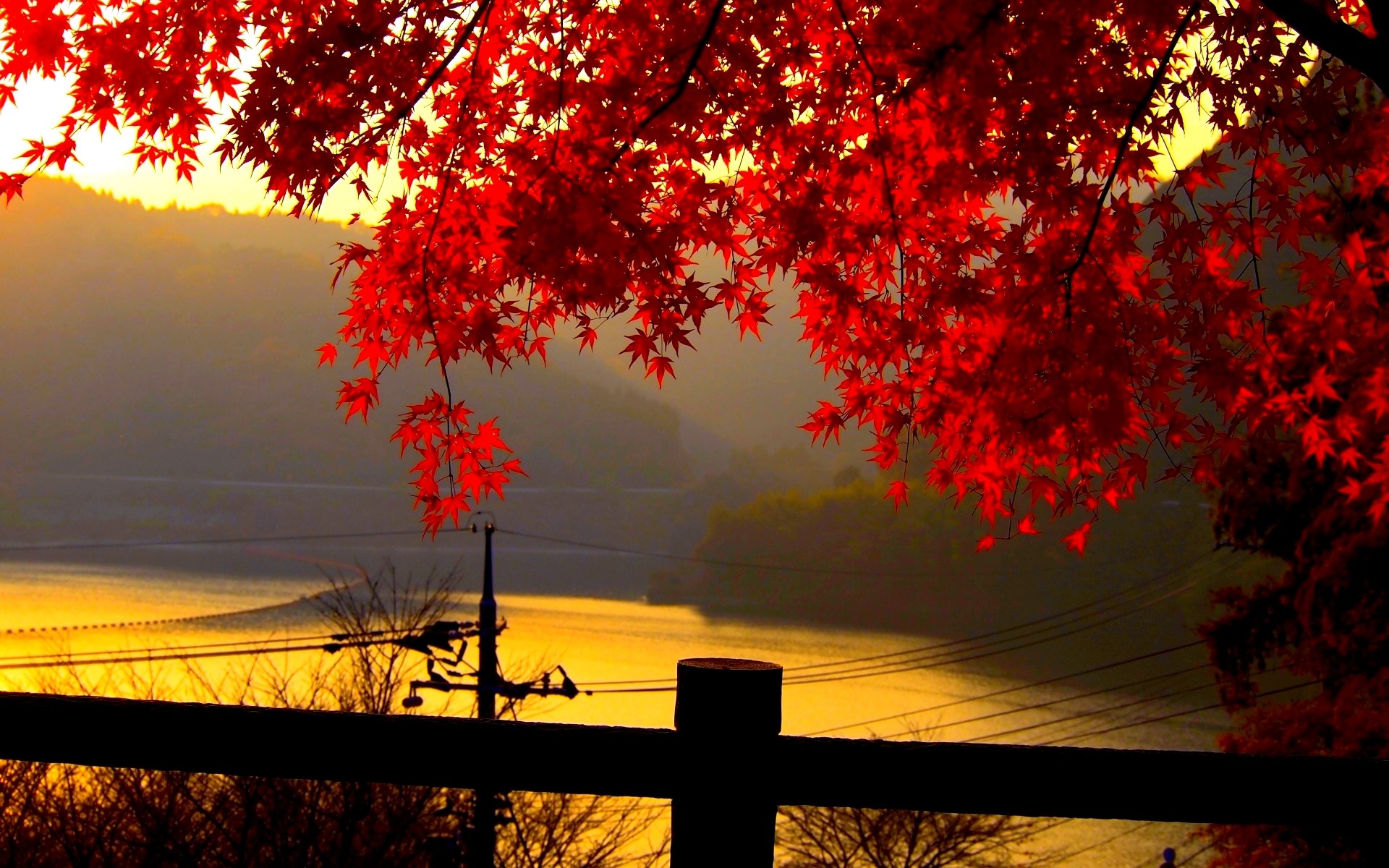 Beautiful autumn leaves pictures for desktop