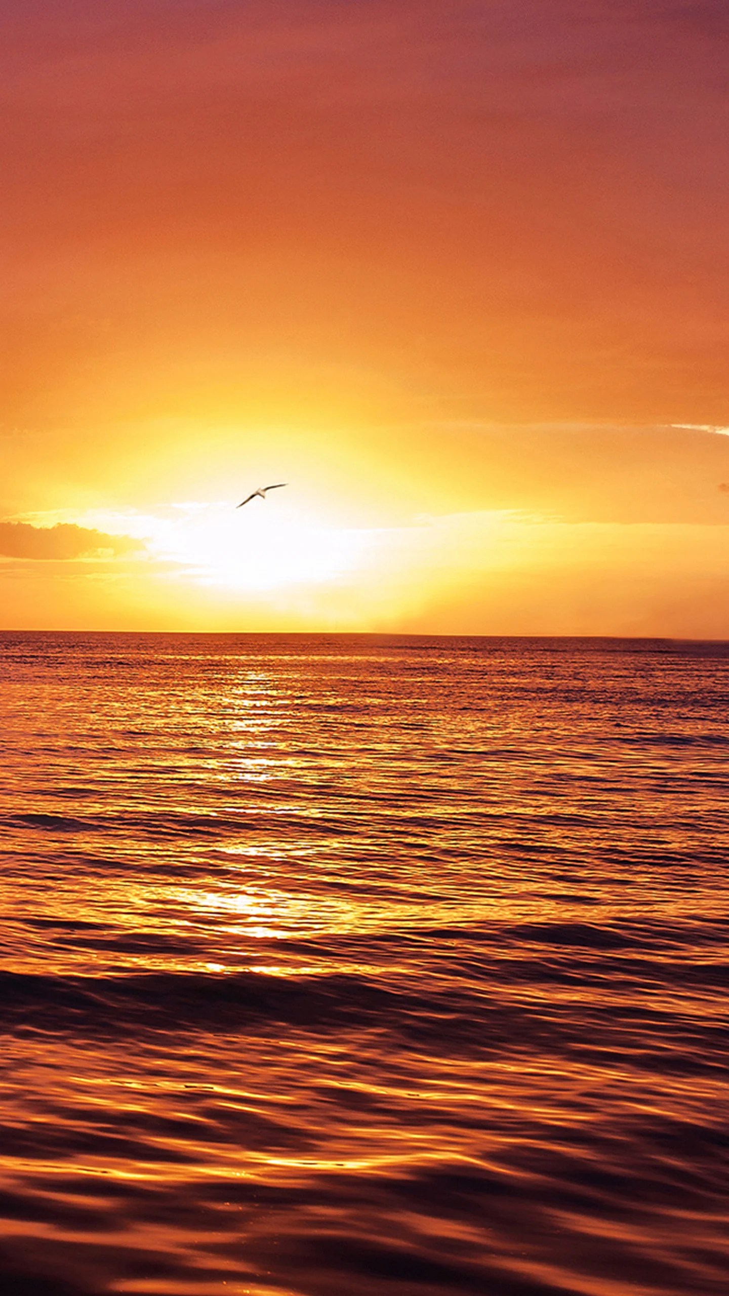 Beautiful ocean sunset 2 Galaxy S7 Wallpaper