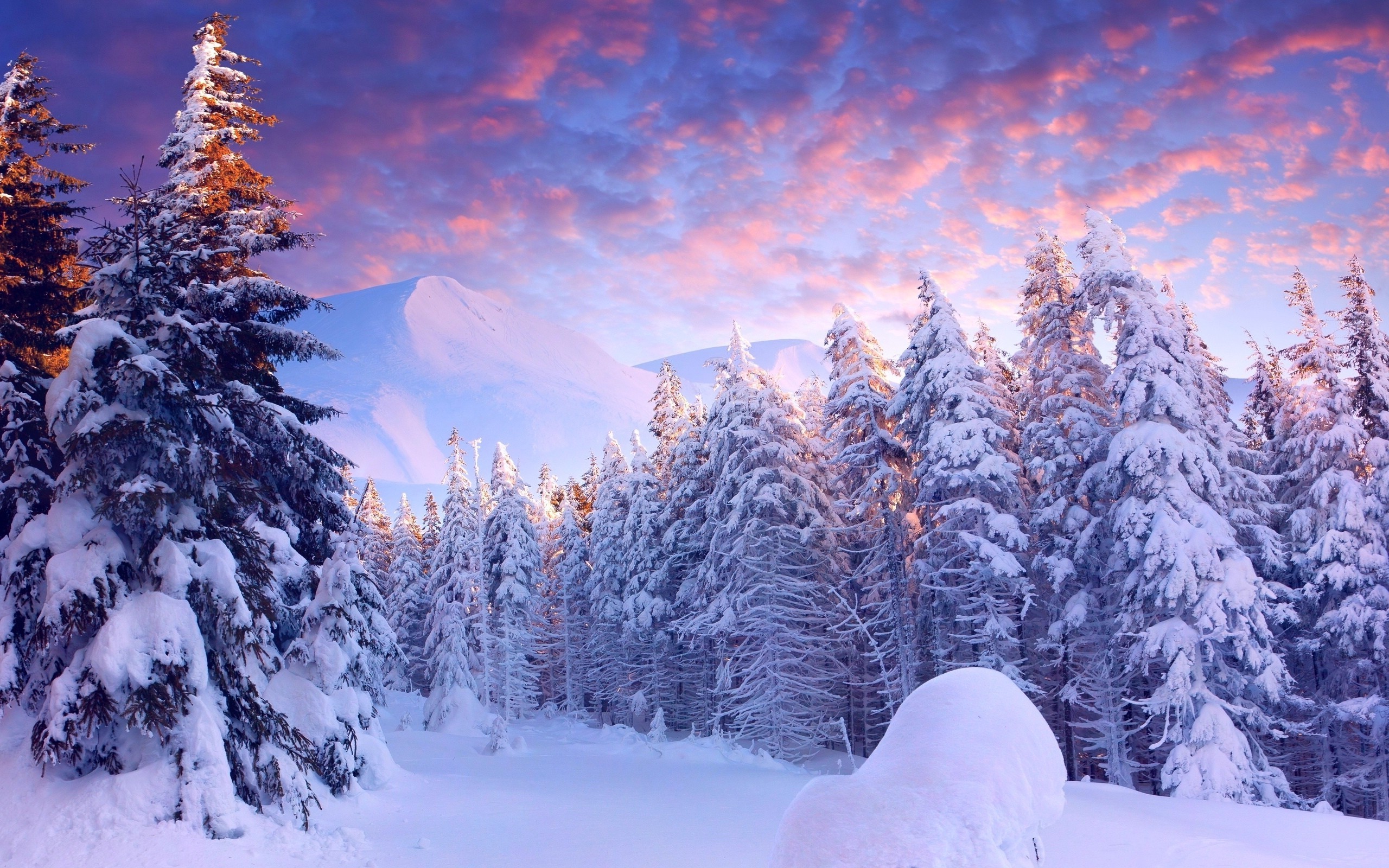 Snow, Landscape, Trees Wallpapers HD / Desktop and Mobile Backgrounds