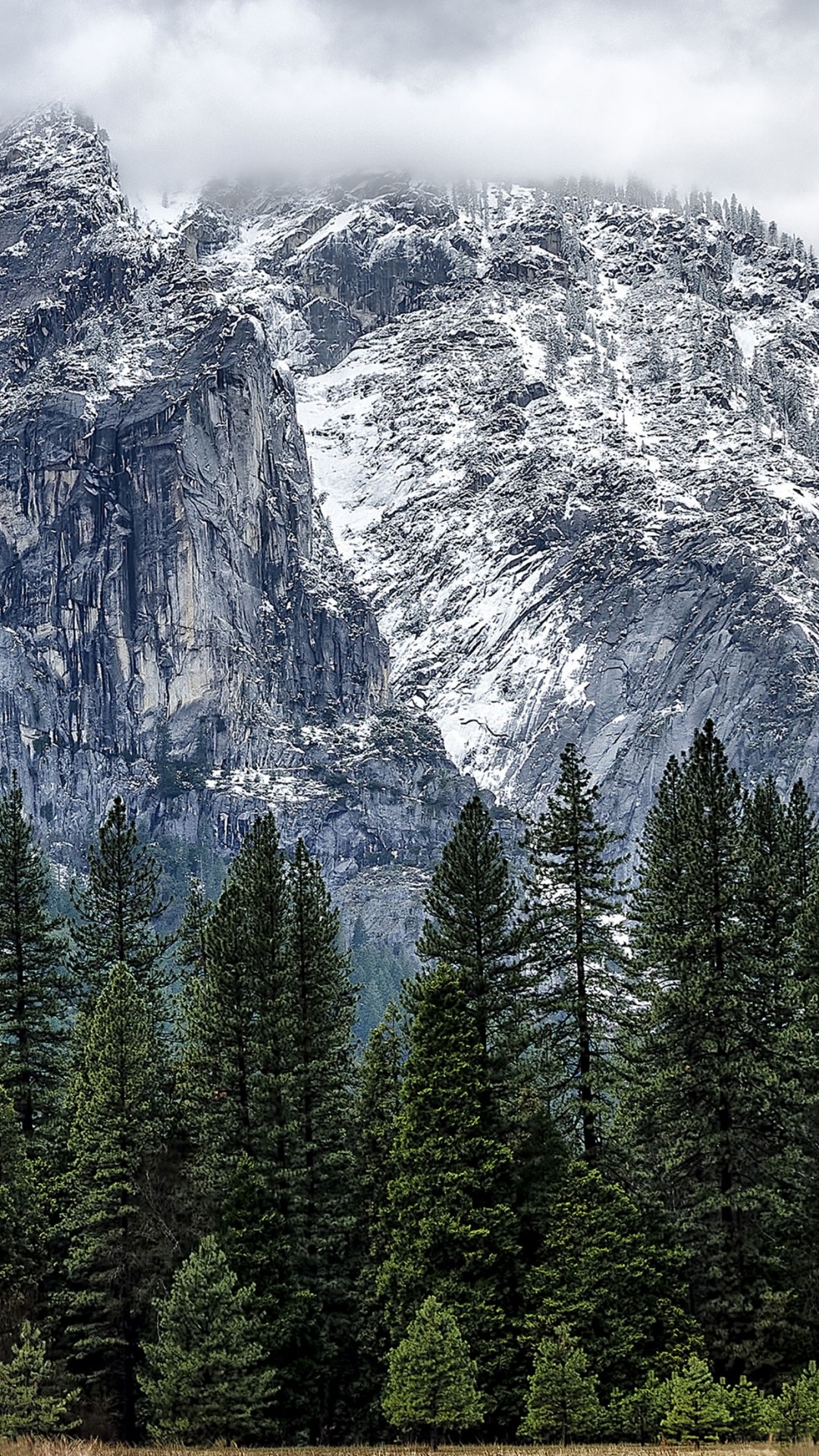 Click here to download pixel Yosemite Mountain Snow Forest Galaxy  Note HD Wallpaper