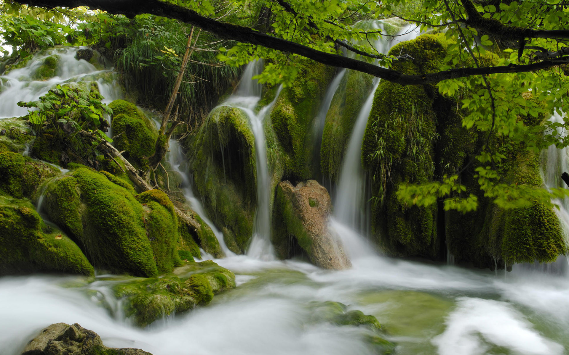 Beautiful Stream Wallpapers Find best latest Beautiful Stream Wallpapers in HD for your PC desktop