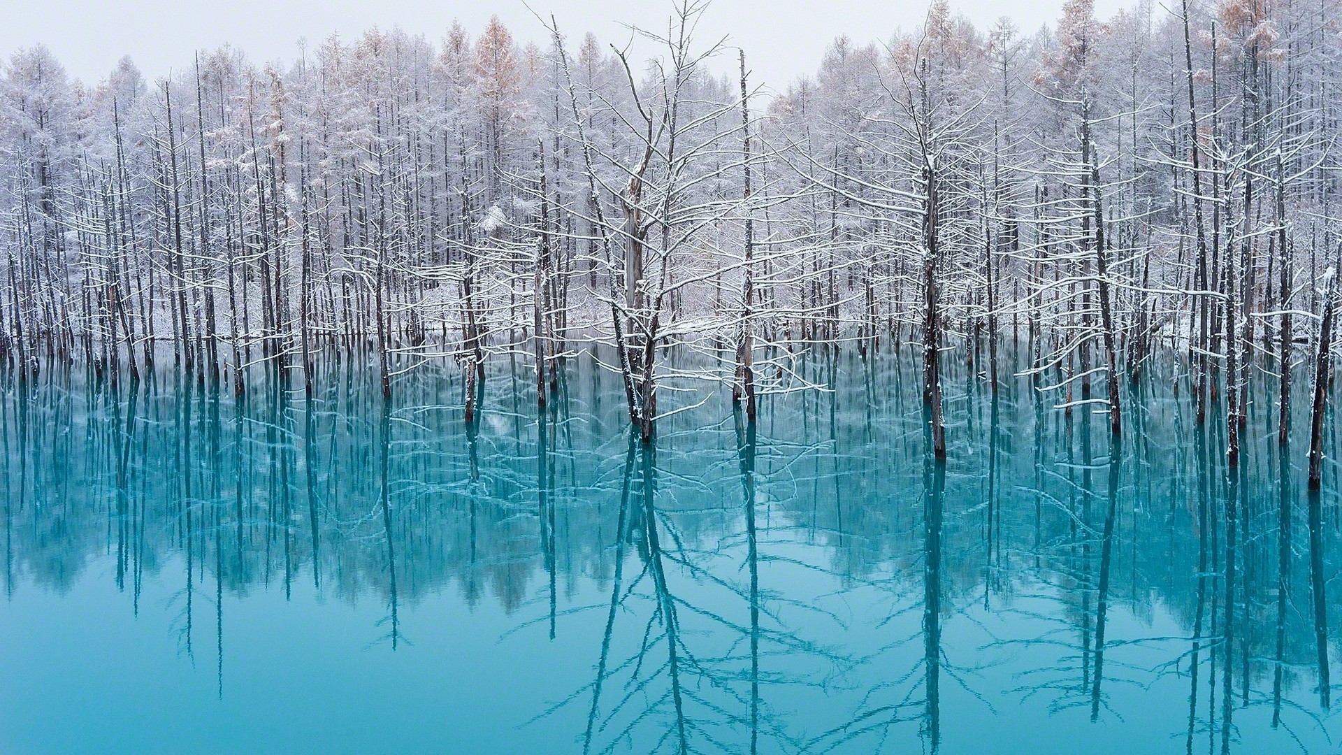 Lake, Trees, Nature, Turquoise, Water, Snow, Reflection, Winter, Japan, Landscape, Cold, Mist, Forest Wallpapers HD / Desktop and Mobile Backgrounds