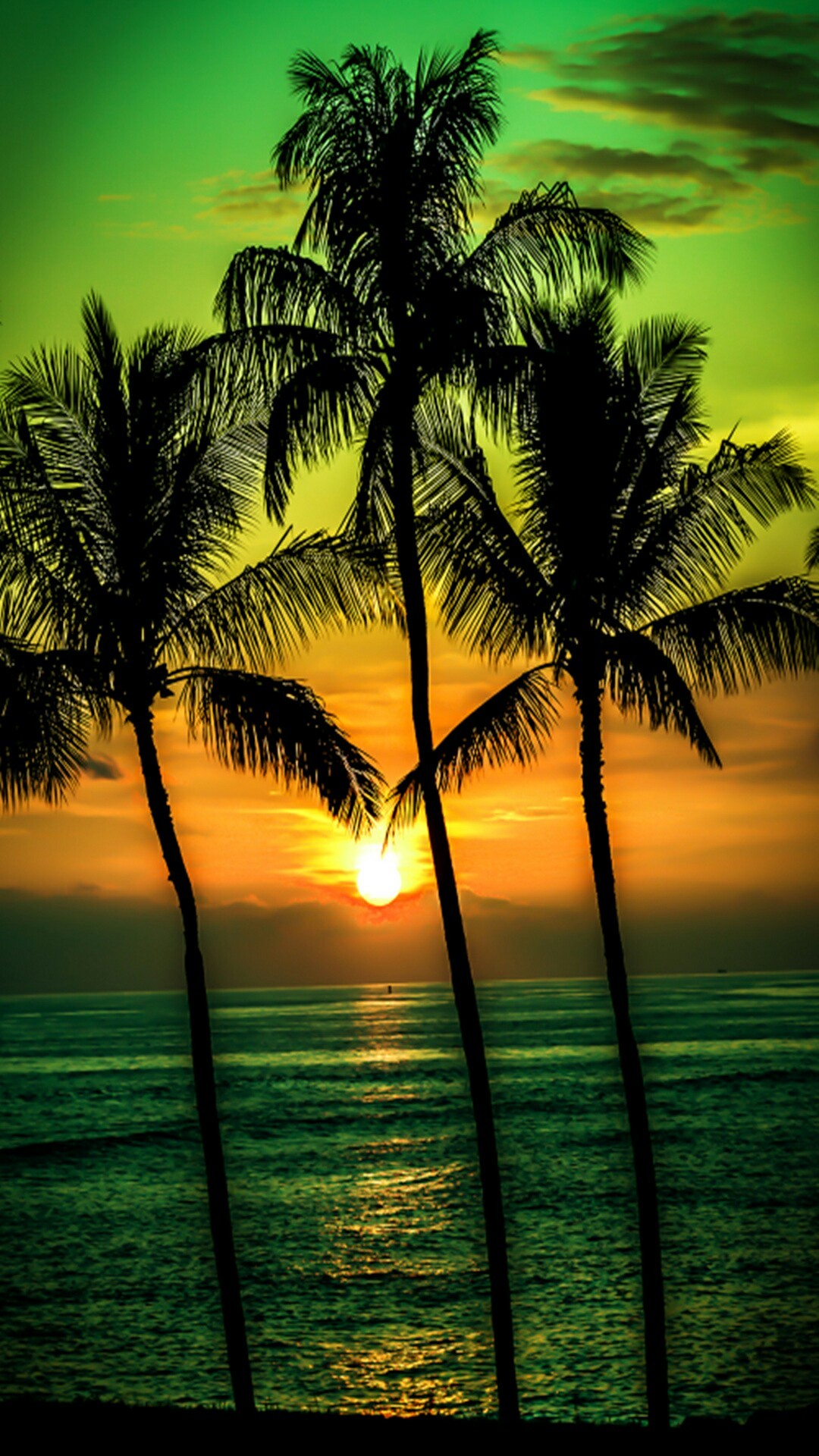 Palm tree sunset wallpaper