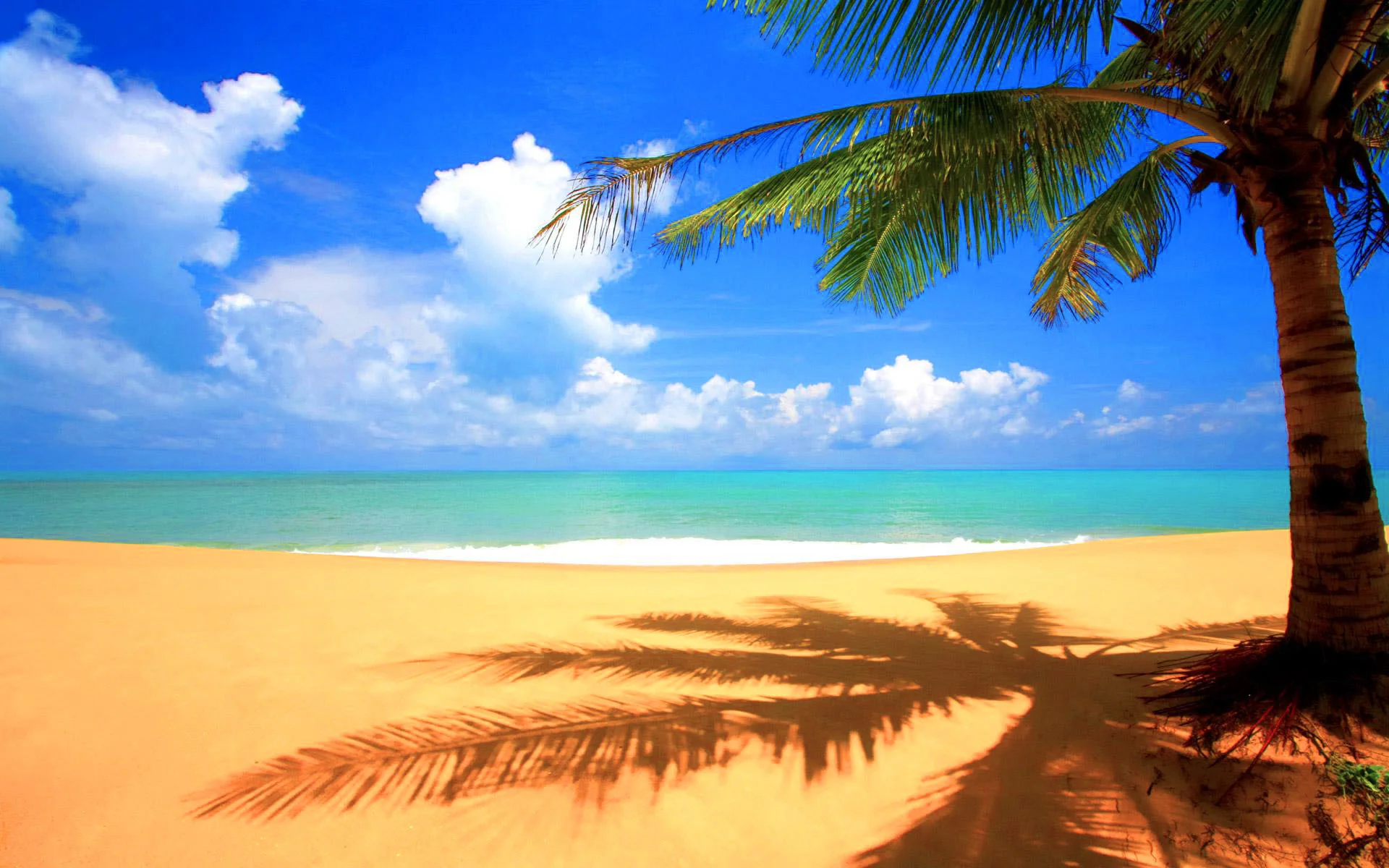 Image for BEAUTIFUL BEACH BACKGROUNDS HIGH DEFINITION WALF1003